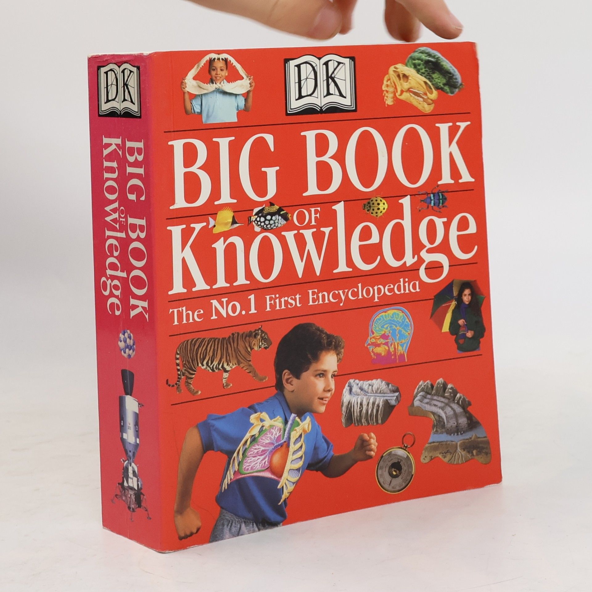 Sarah Phillips Big Book of Knowledge. The No.1 First Encyclopedia
