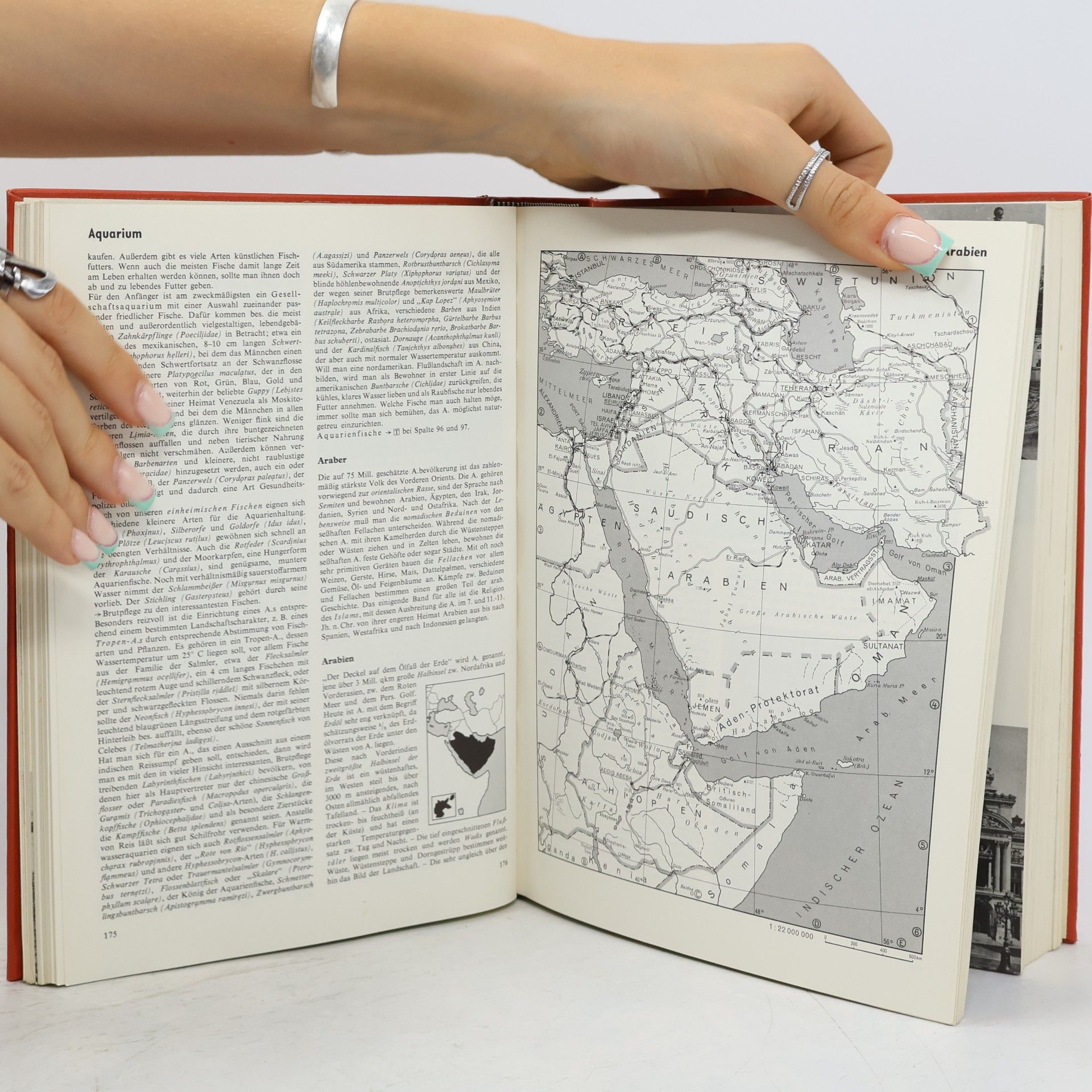 Various authors Das Wissen des 20. Jahrhunderts 1