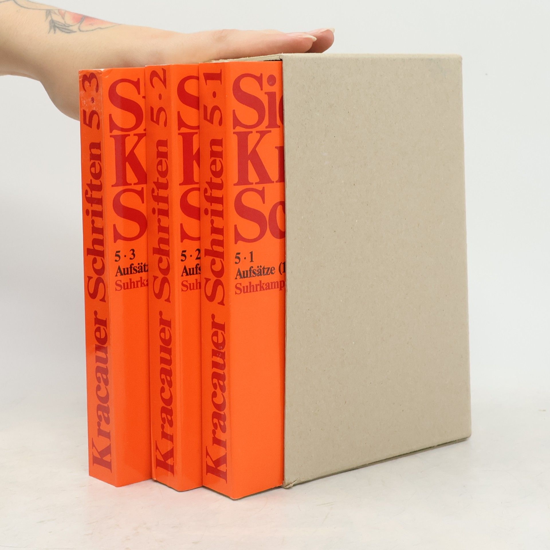 Siegfried Kracauer Schriften 5.1