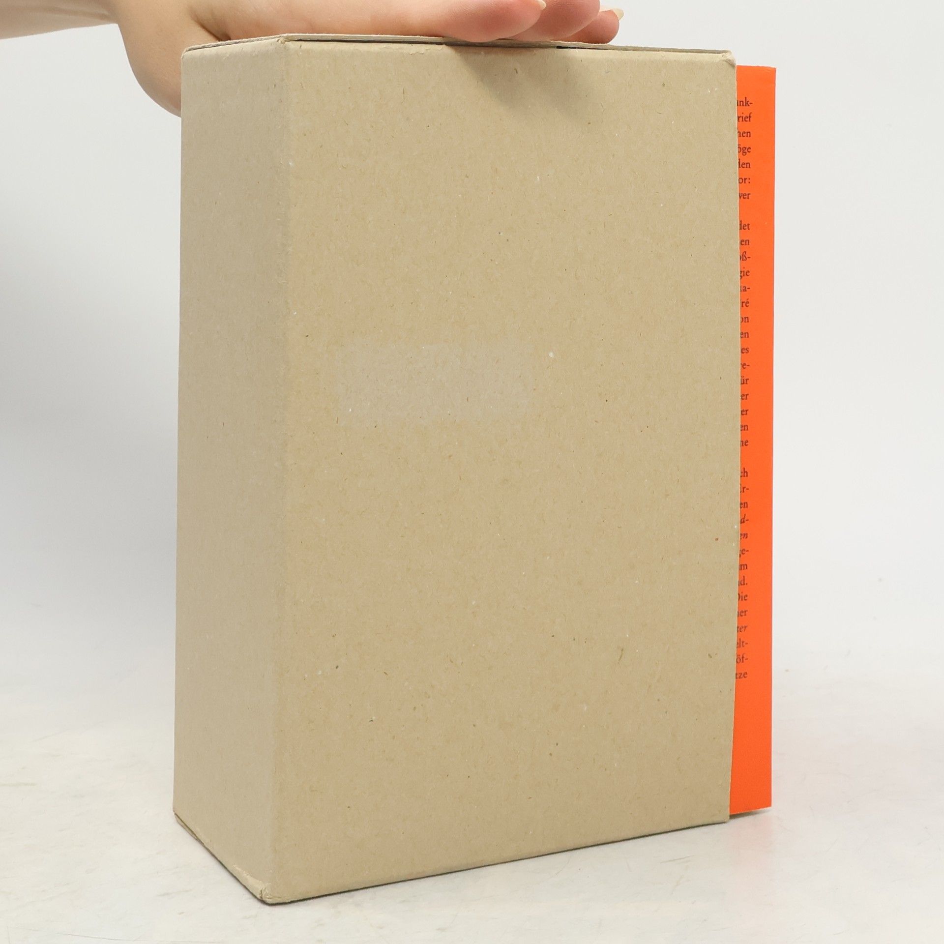 Siegfried Kracauer Schriften 5.1