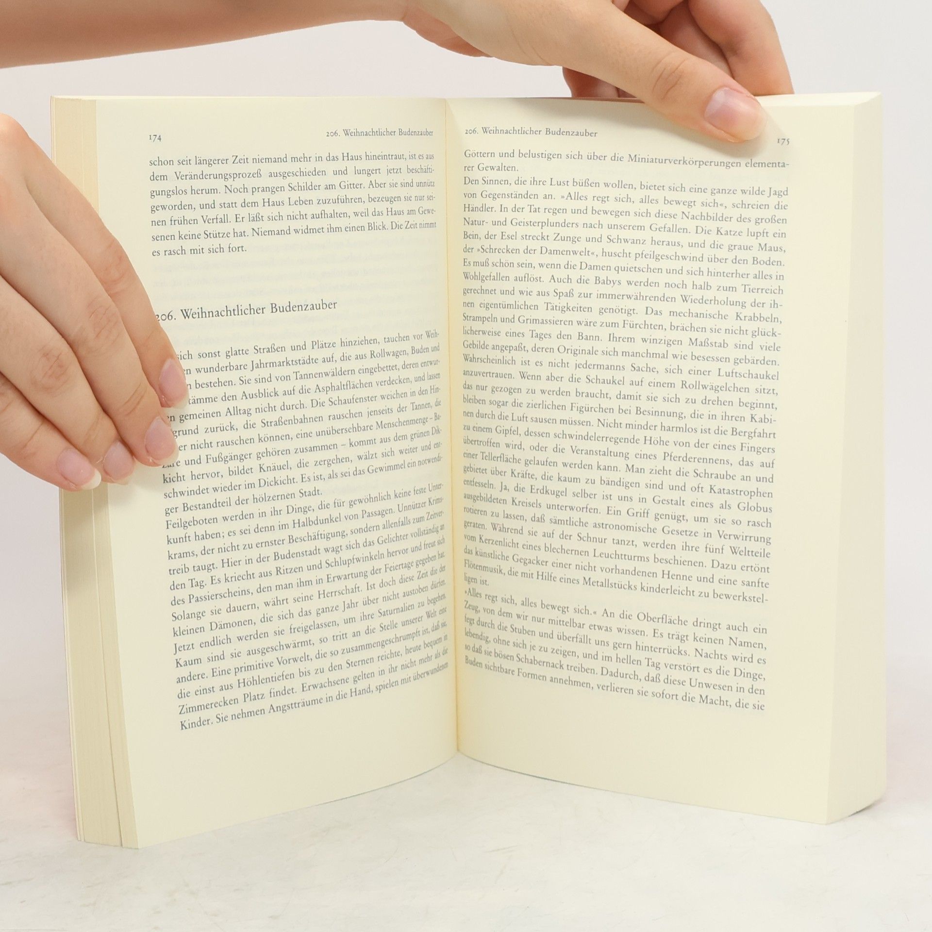 Siegfried Kracauer Schriften 5.1