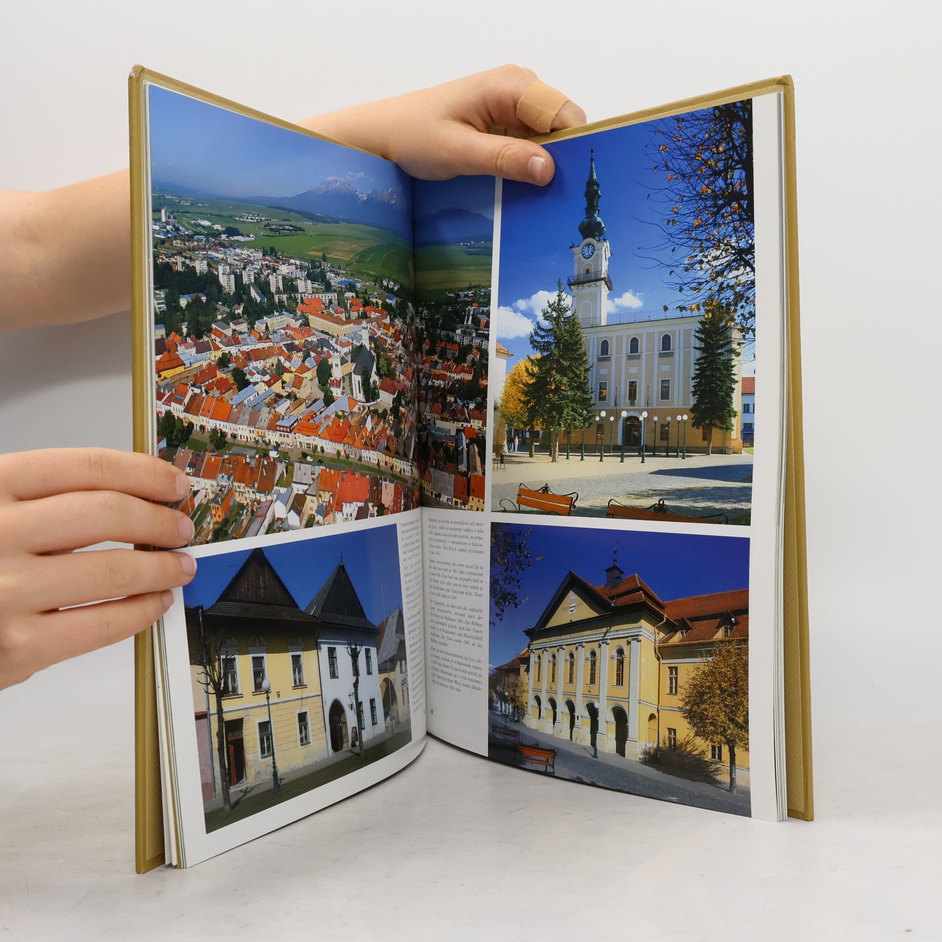 Auteurscollectief Slovenské kráľovské mestá. Bardejov, Kežmarok, Levoča, Stará Ľubovňa