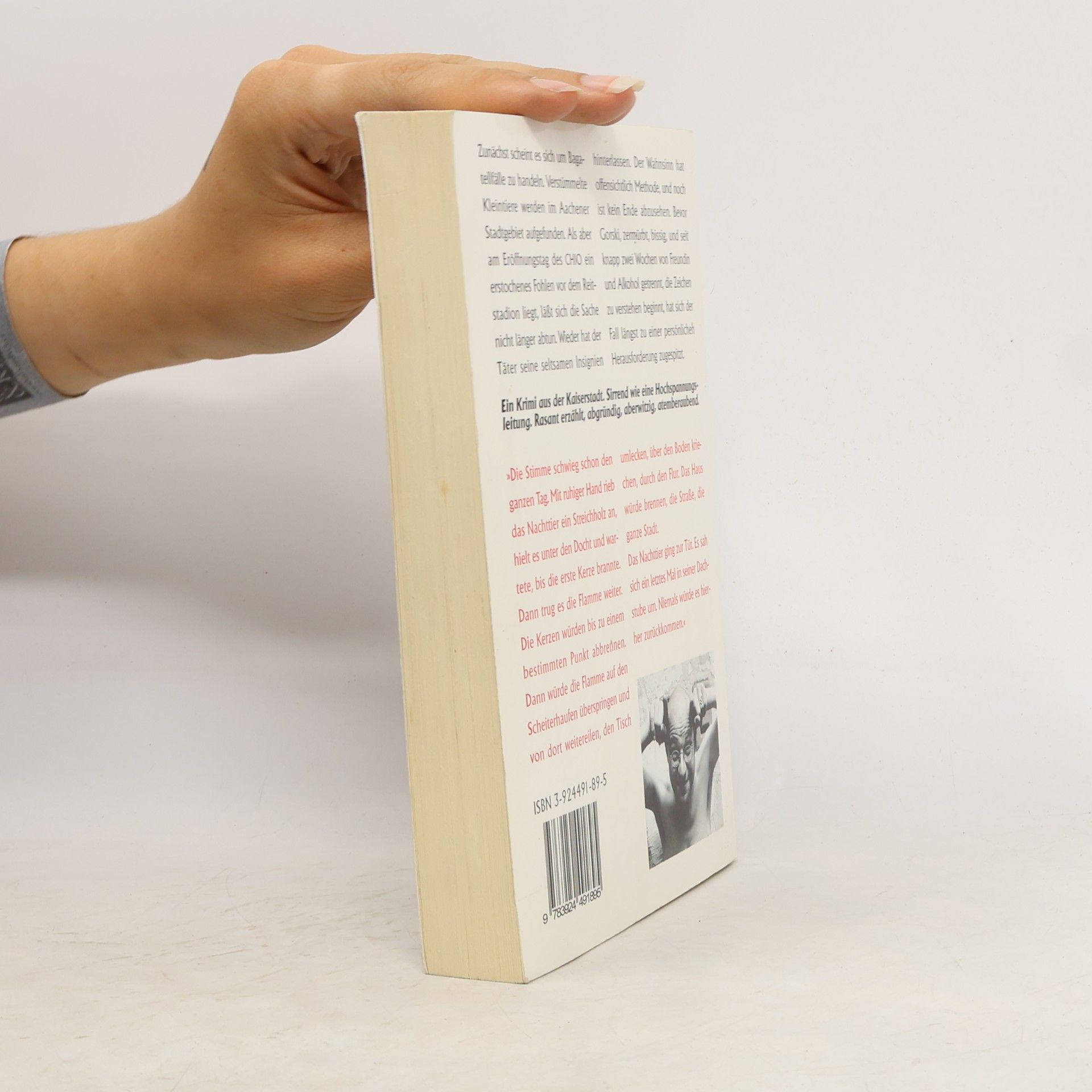 Hermann-Josef Schüren Aachen Krimi: Tiefer als der Tag