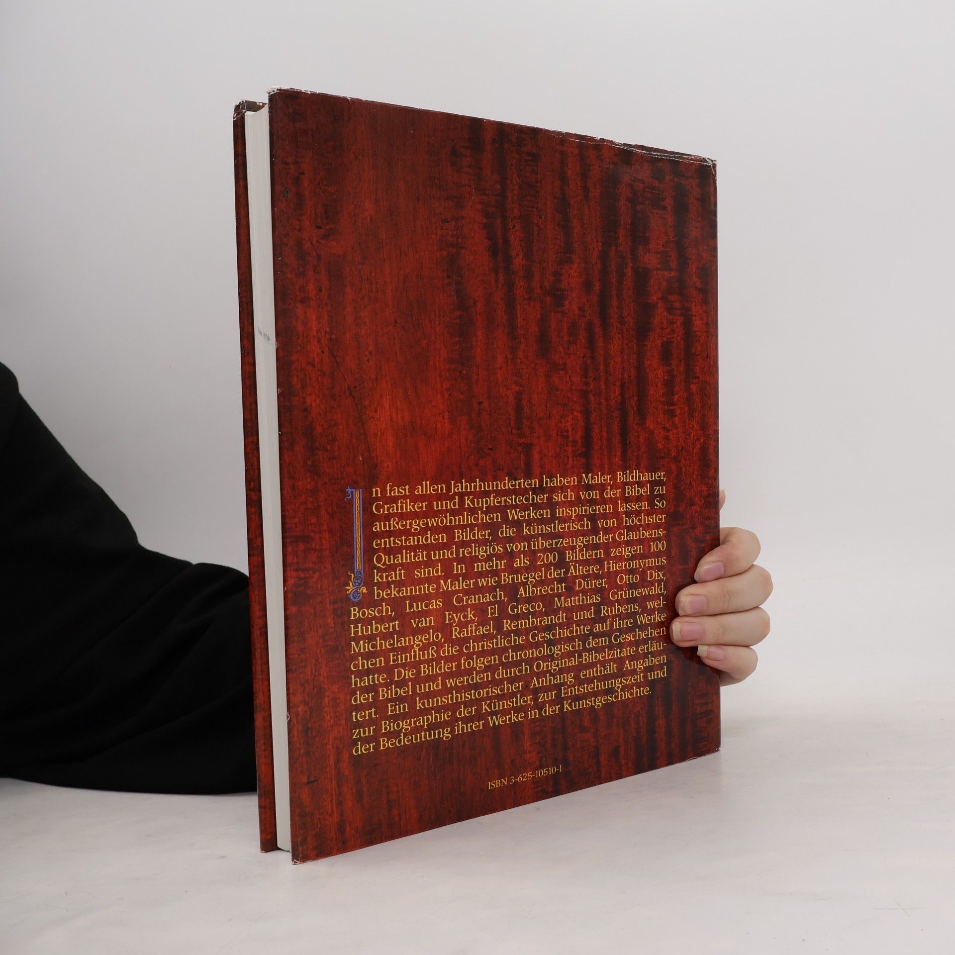 Autorenkollektiv Die Bibel in Bildern. Schatzkammer der Malerei