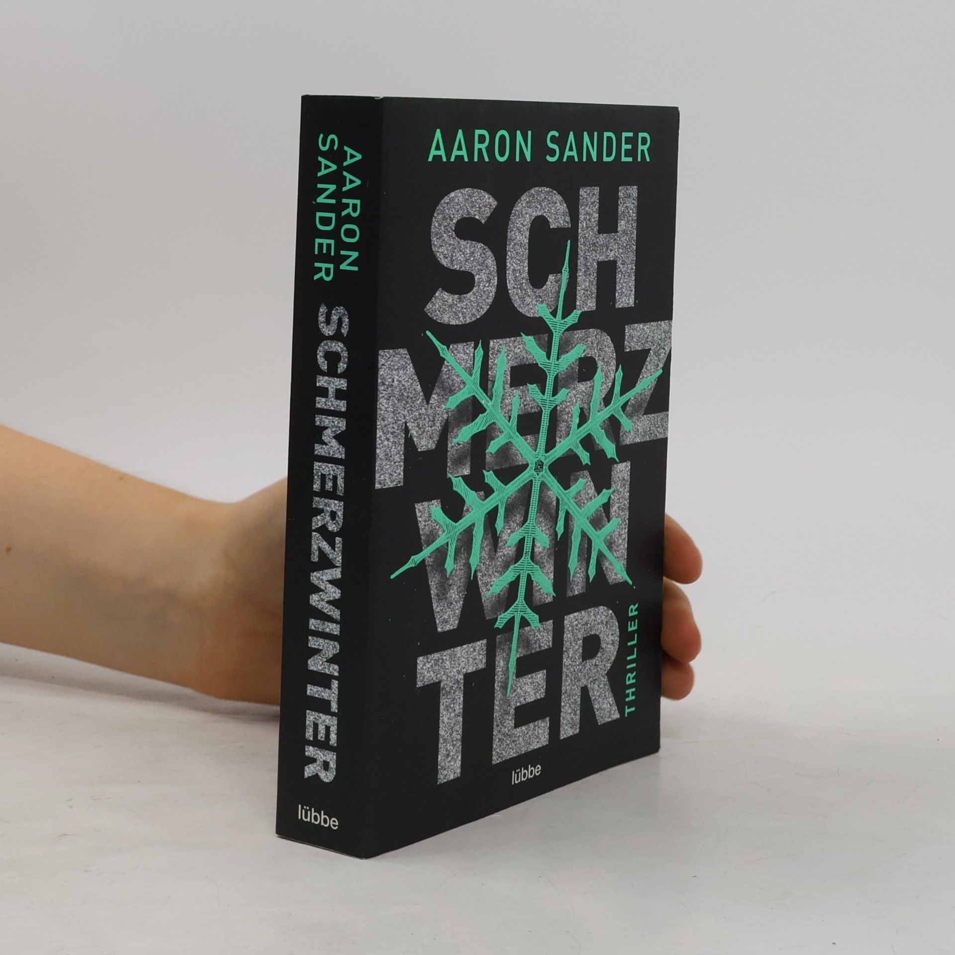 Aaron Sander Schmerzwinter