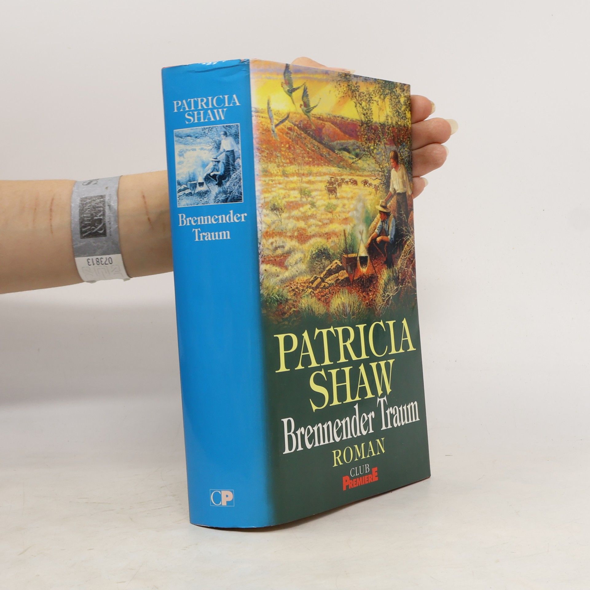 Patricia Shaw Brennender Traum