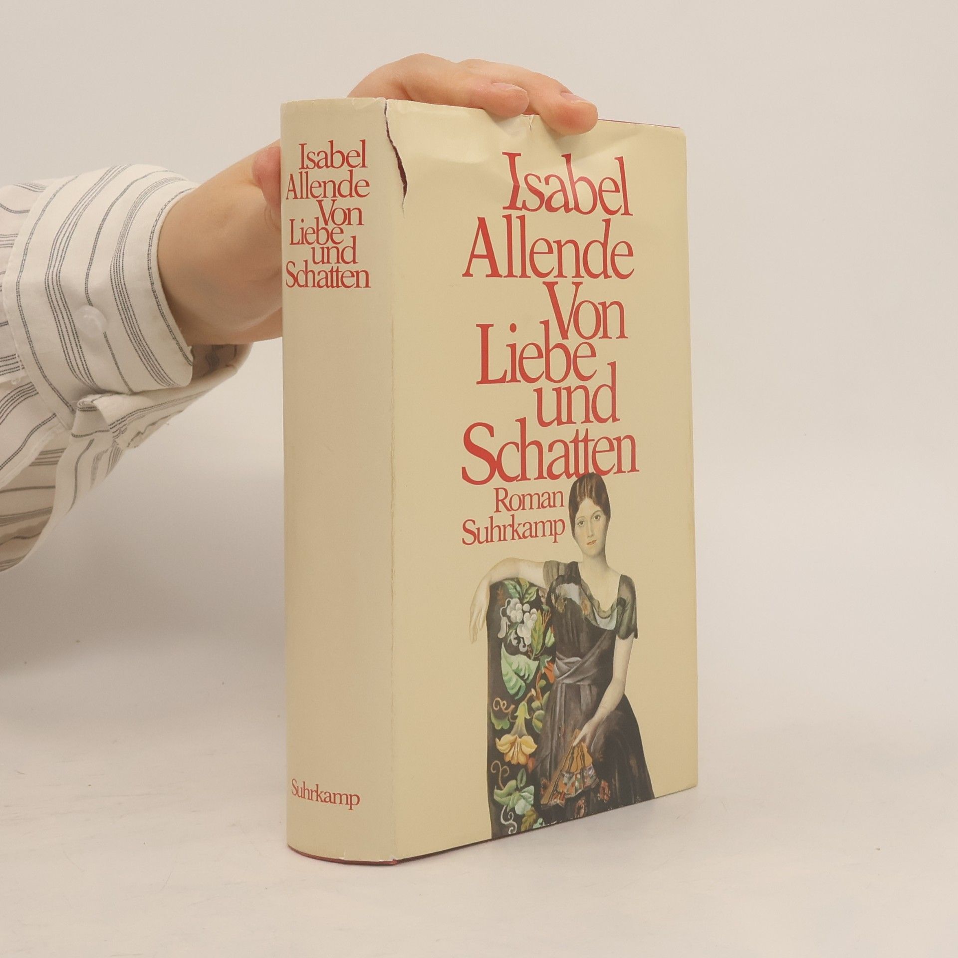 Isabel Allende Von liebe und schatten