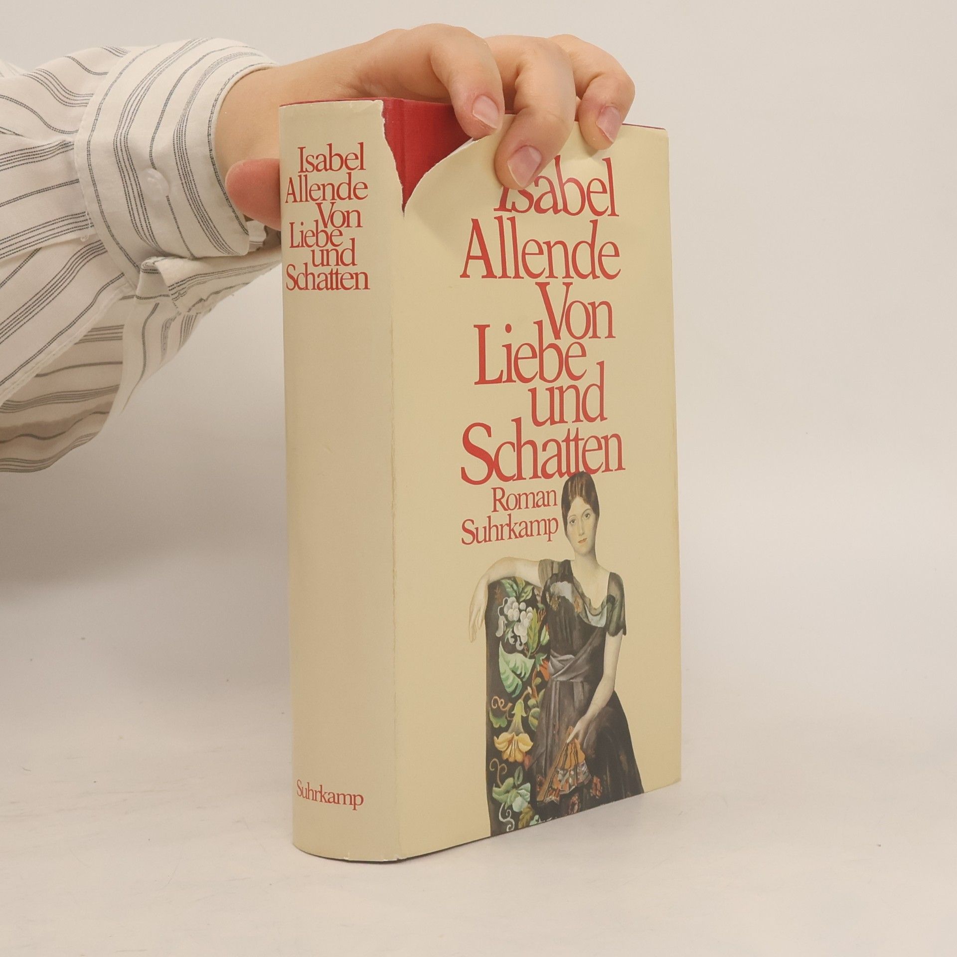 Isabel Allende Von liebe und schatten