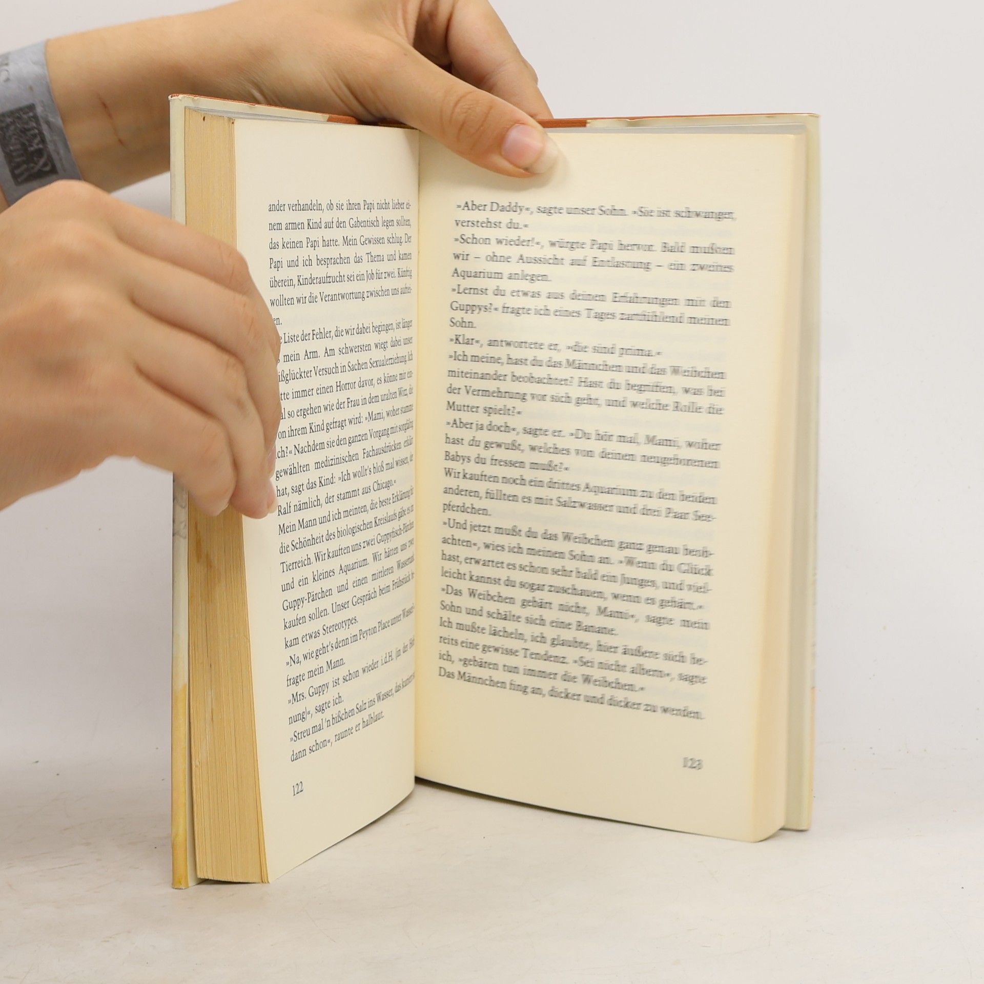 Erma Bombeck Nur der Puding hört mein Seufzen