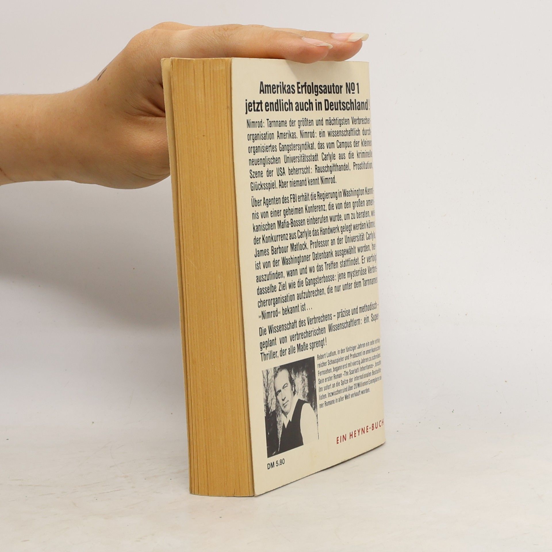 Robert Ludlum Die Matlock-Affäre
