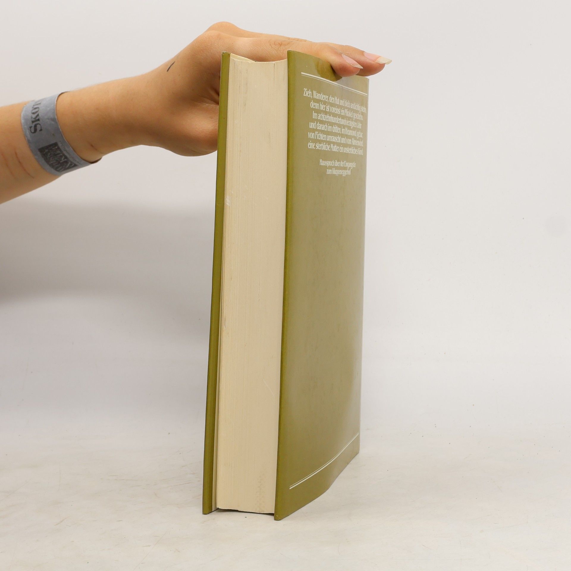 Peter Rosegger Das grosse Rosegger Hausbuch
