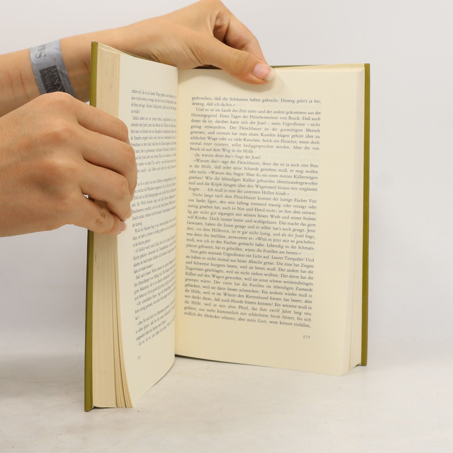 Peter Rosegger Das grosse Rosegger Hausbuch