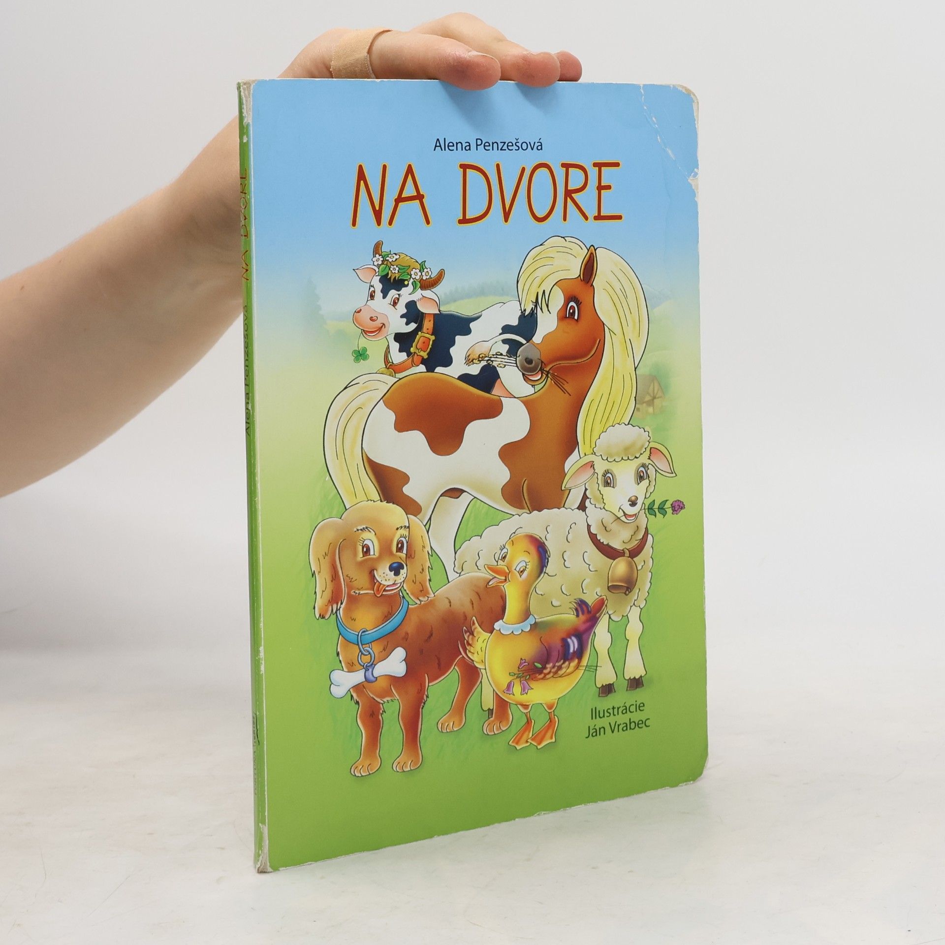 Alena Penzešová Na dvore