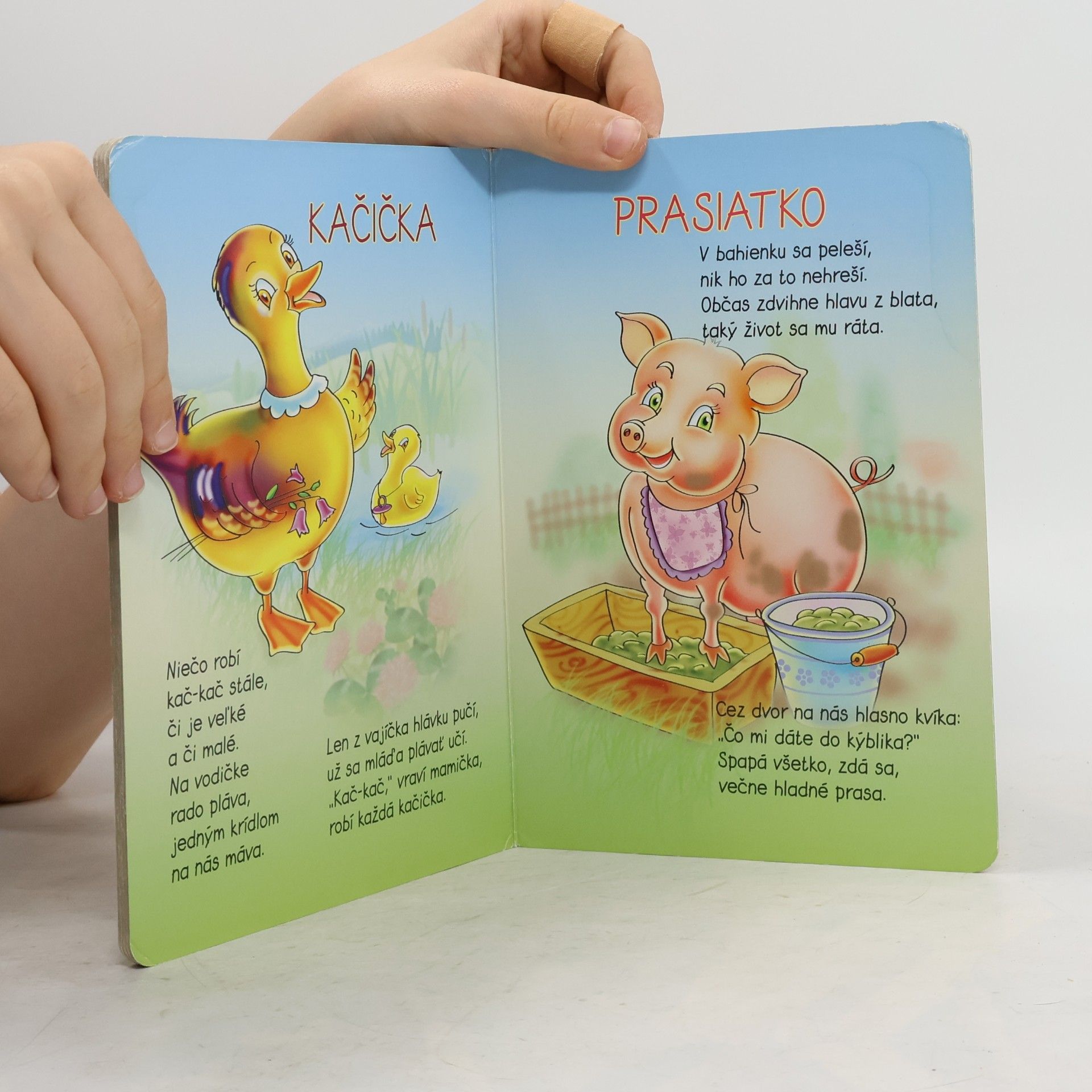 Alena Penzešová Na dvore