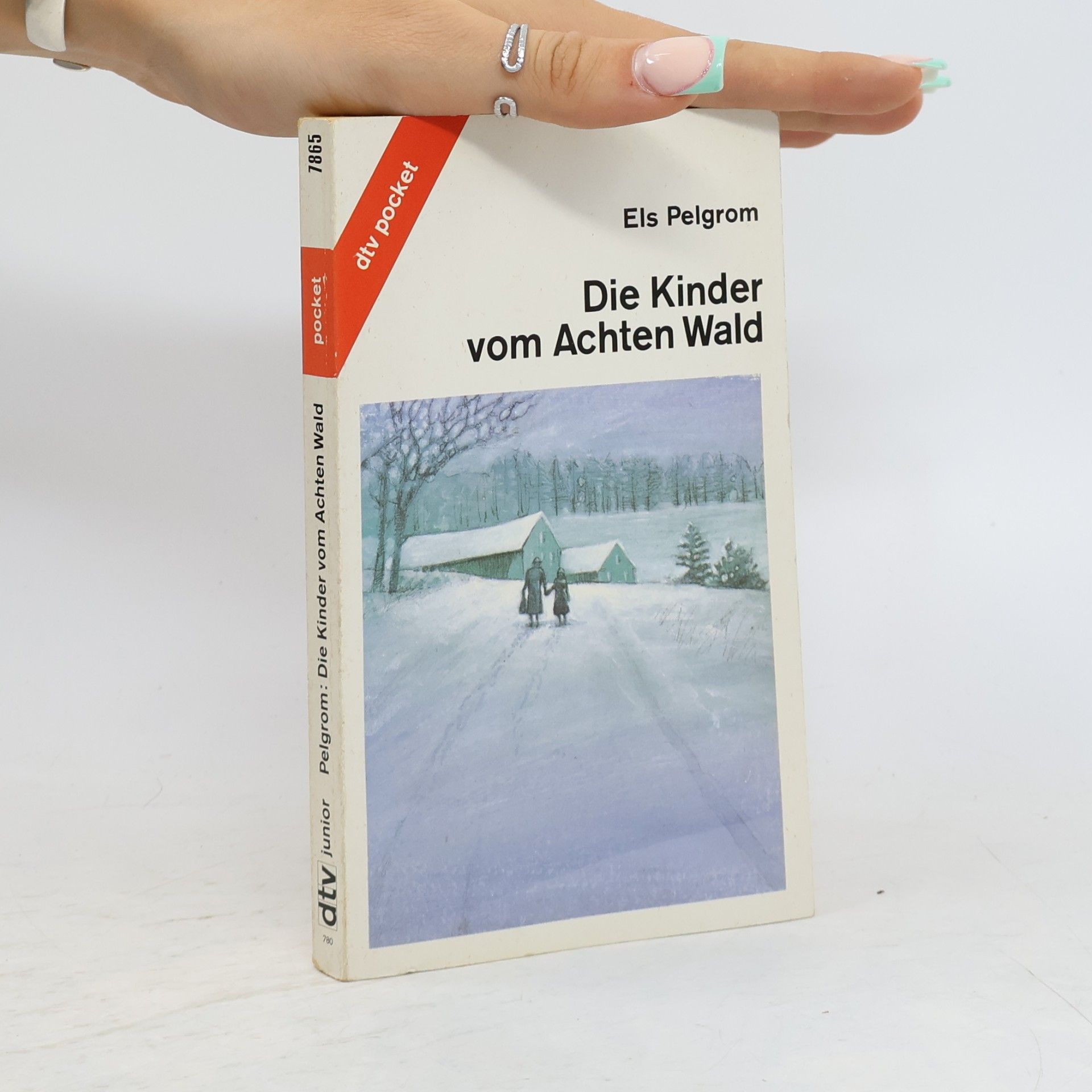 Els Pelgrom Die Kinder vom Achten Wald