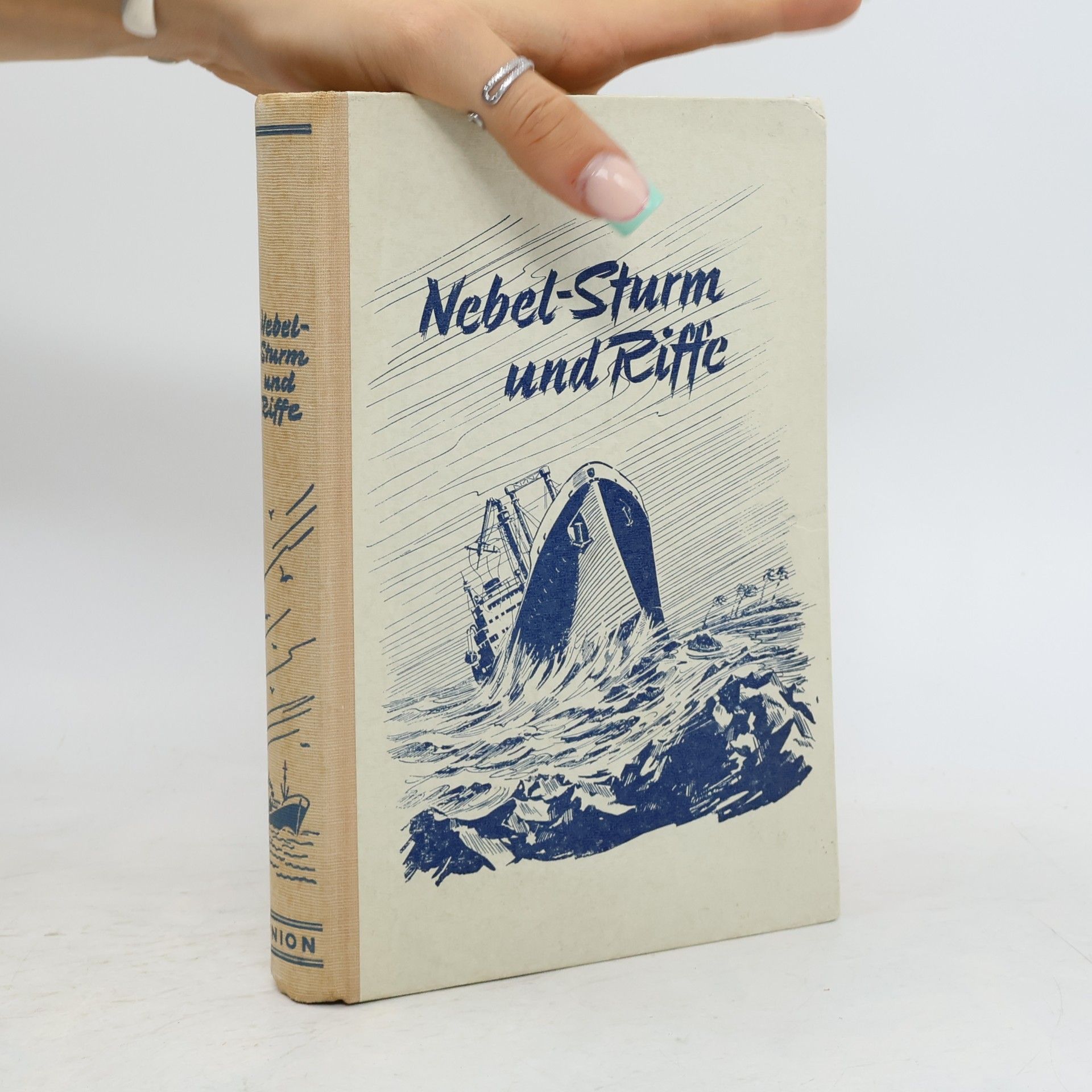 Gustav Wenz  Nebel-Sturm und Riffe
