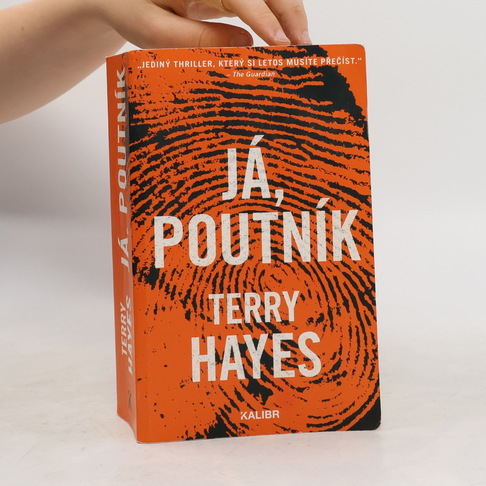 Terry Hayes Já, Poutník