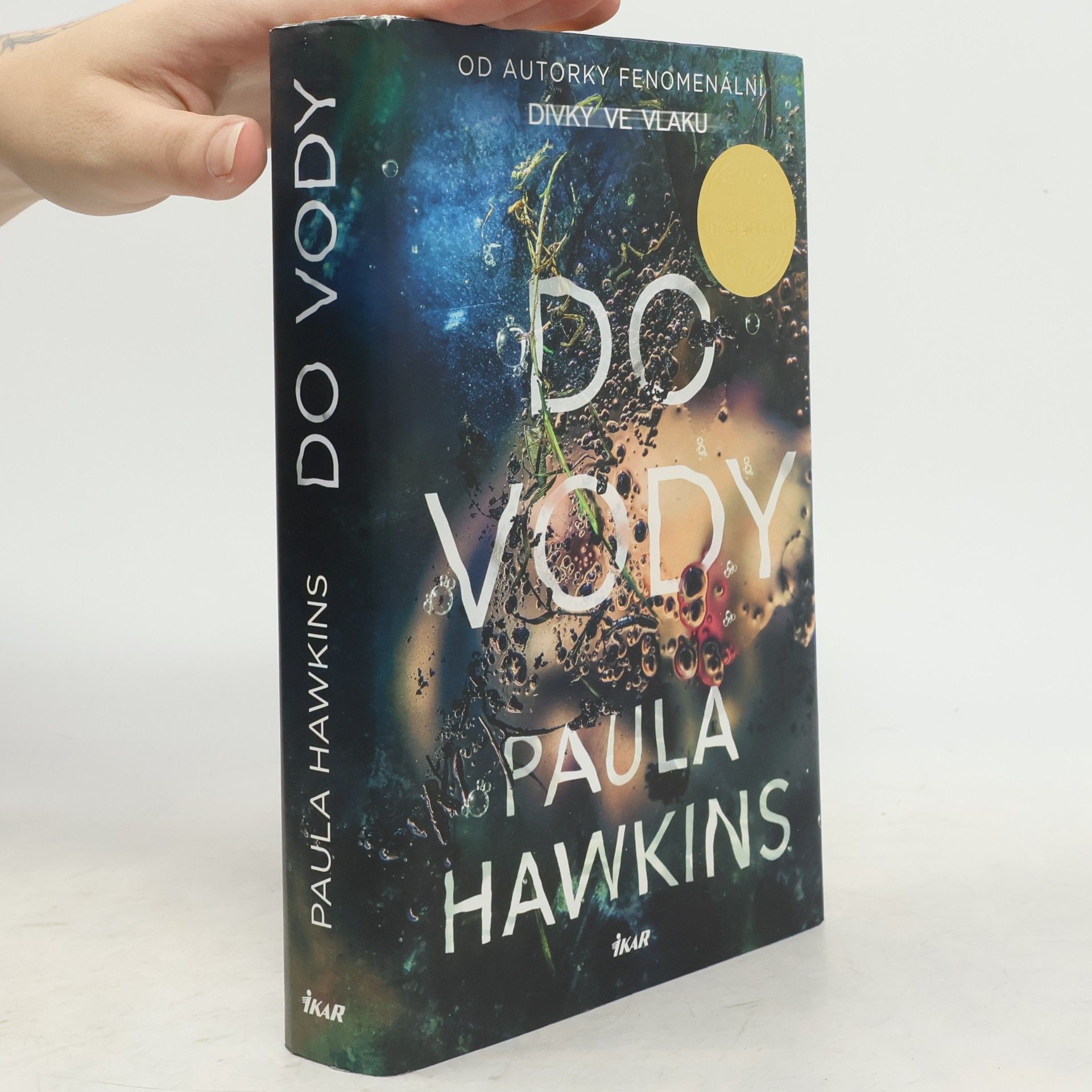 Paula Hawkinsová Do vody