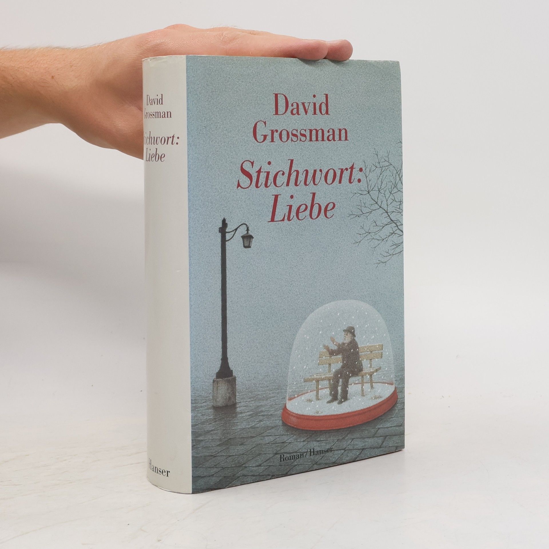 David Grossman Stichwort: Liebe