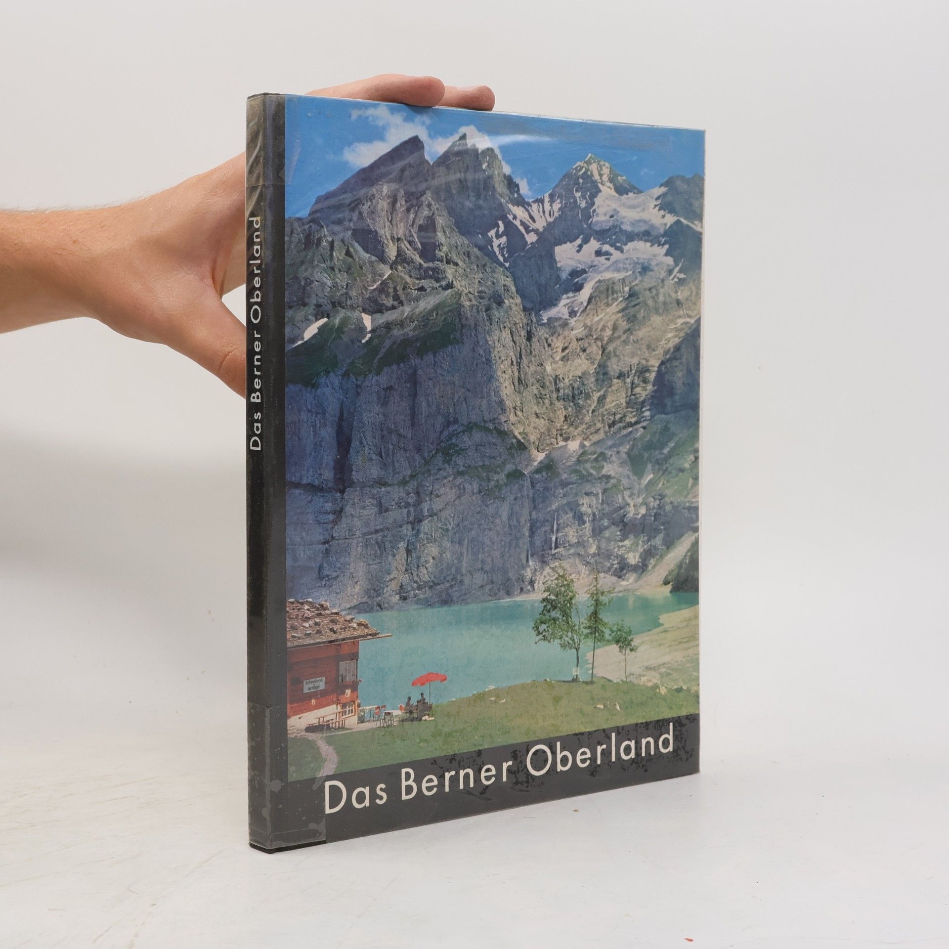 Otto Siegner Das Berner Oberland