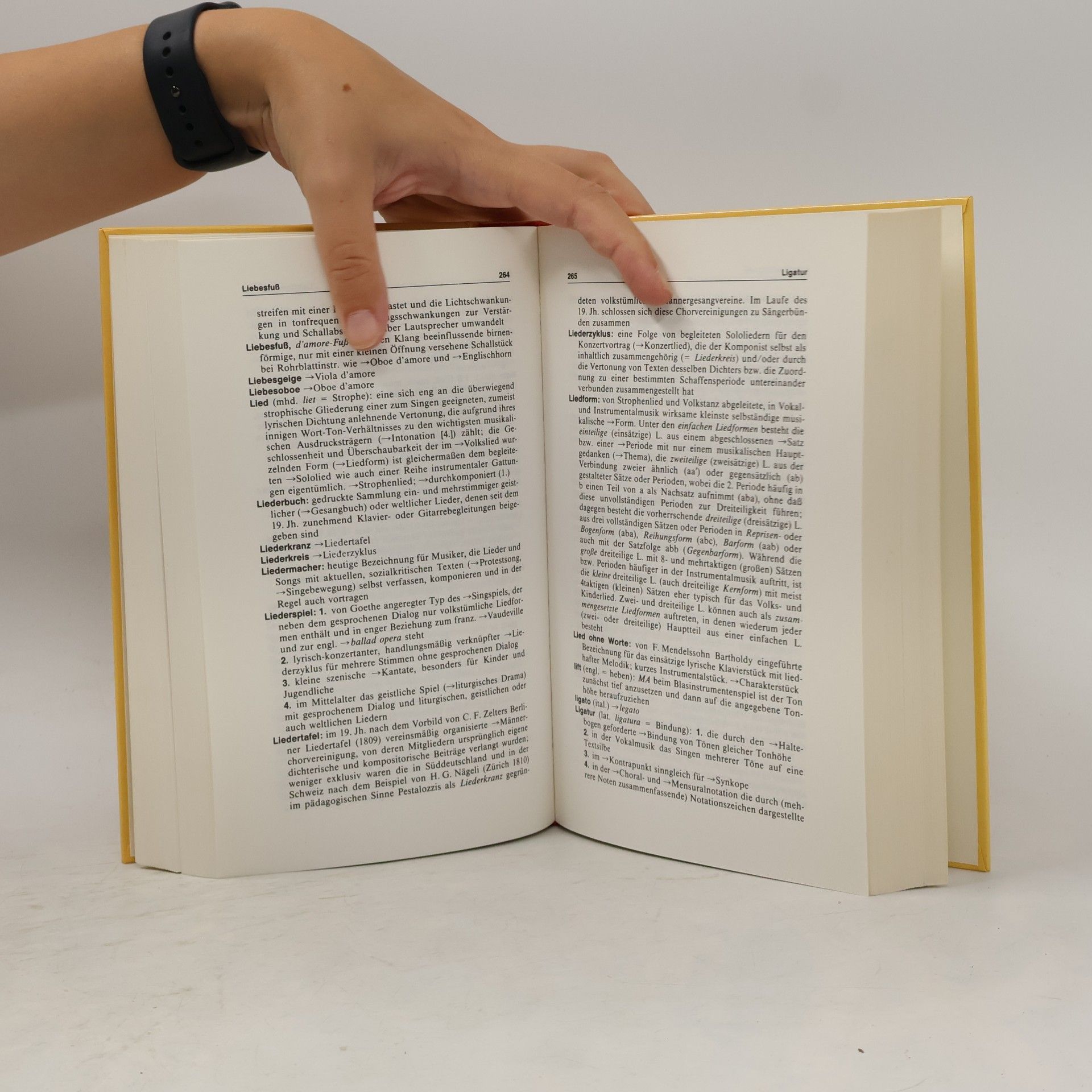 Ferdinand Hirsch Das grosse Wörterbuch der Musik
