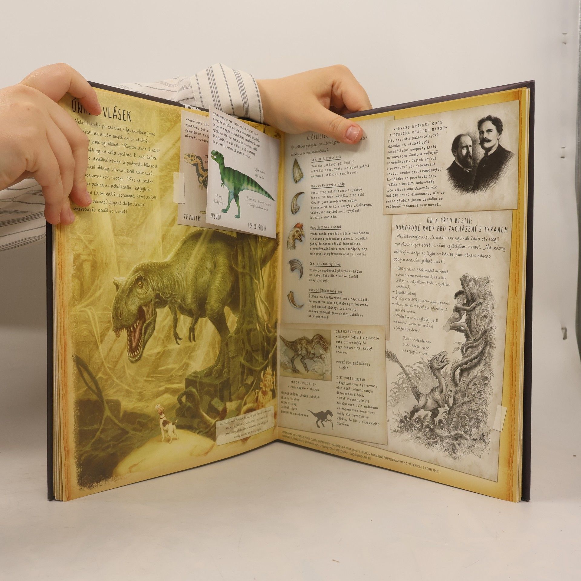 Collectif d'auteurs Dinosaurologie. Hledání ztraceného světa