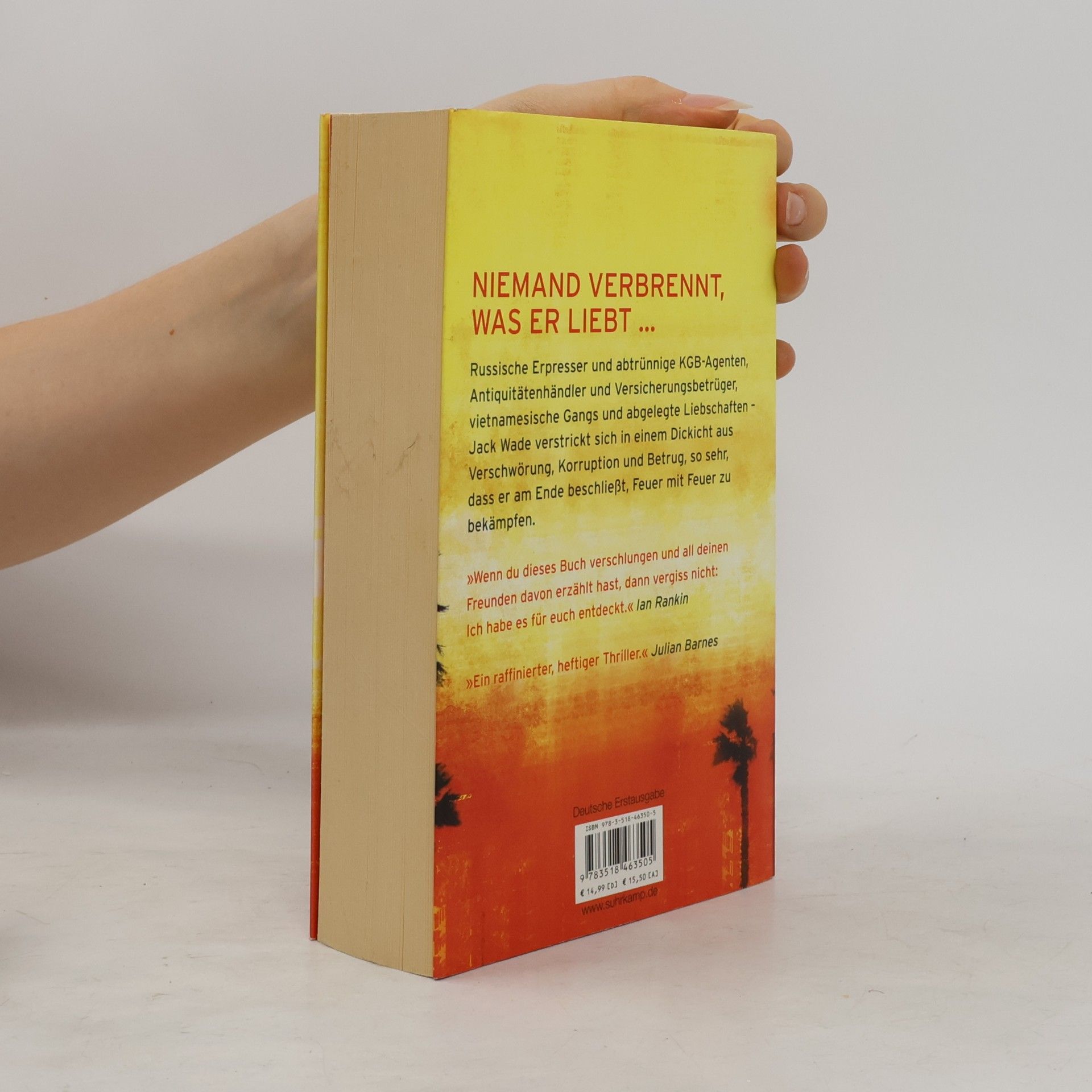 Don Winslow Die Sprache des Feuers