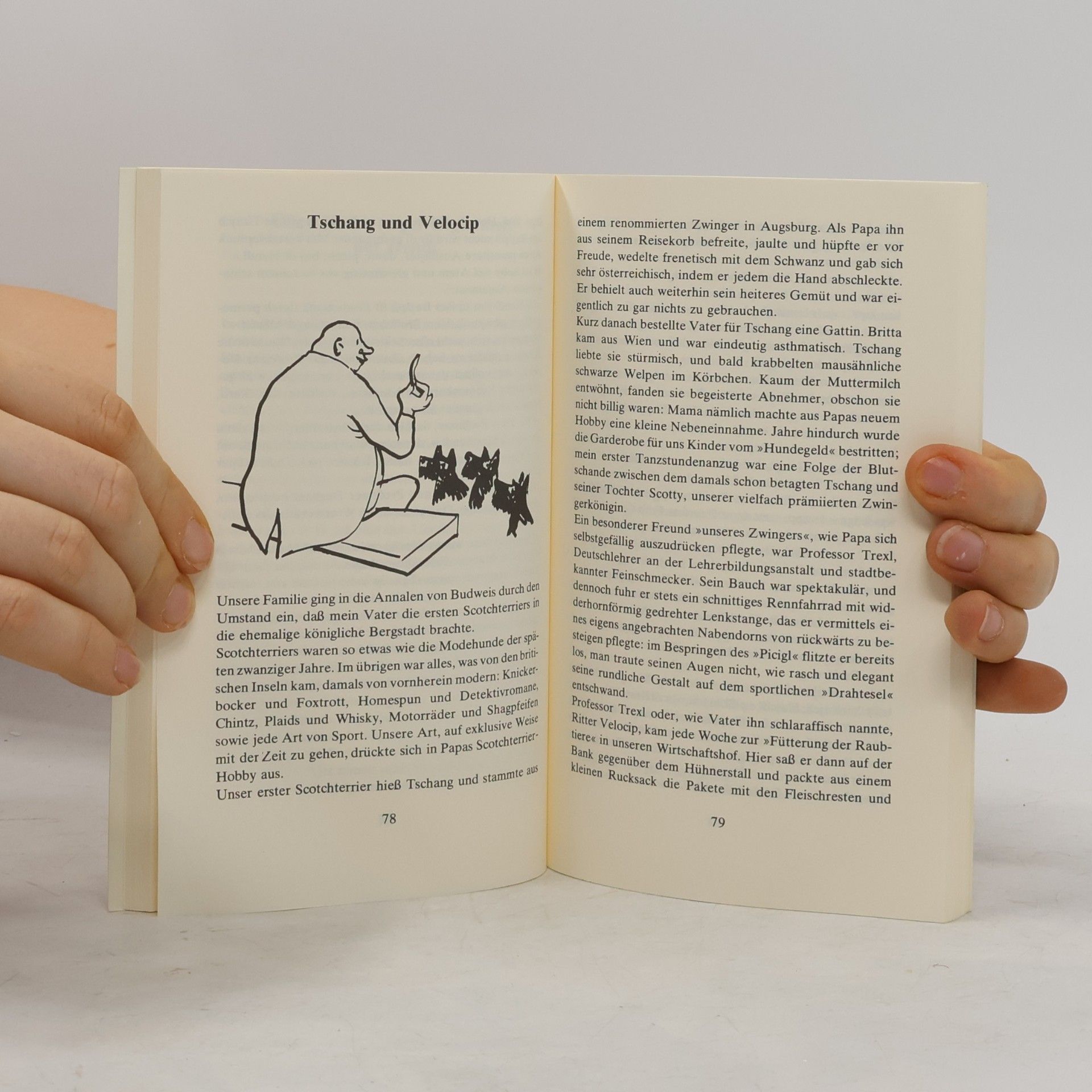 Götz Fehr Fernkurs in Böhmisch : grindliche und gewissenhafte Ajnfírung in špráchliche und kulináriše Špecialitétn inklusive Begegnung mit Land, Lajtn und Fíchern ...