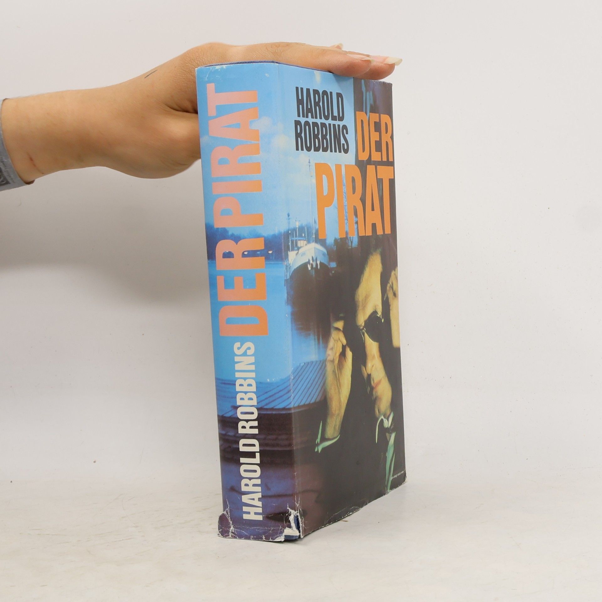 Harold Robbins Der Pirat