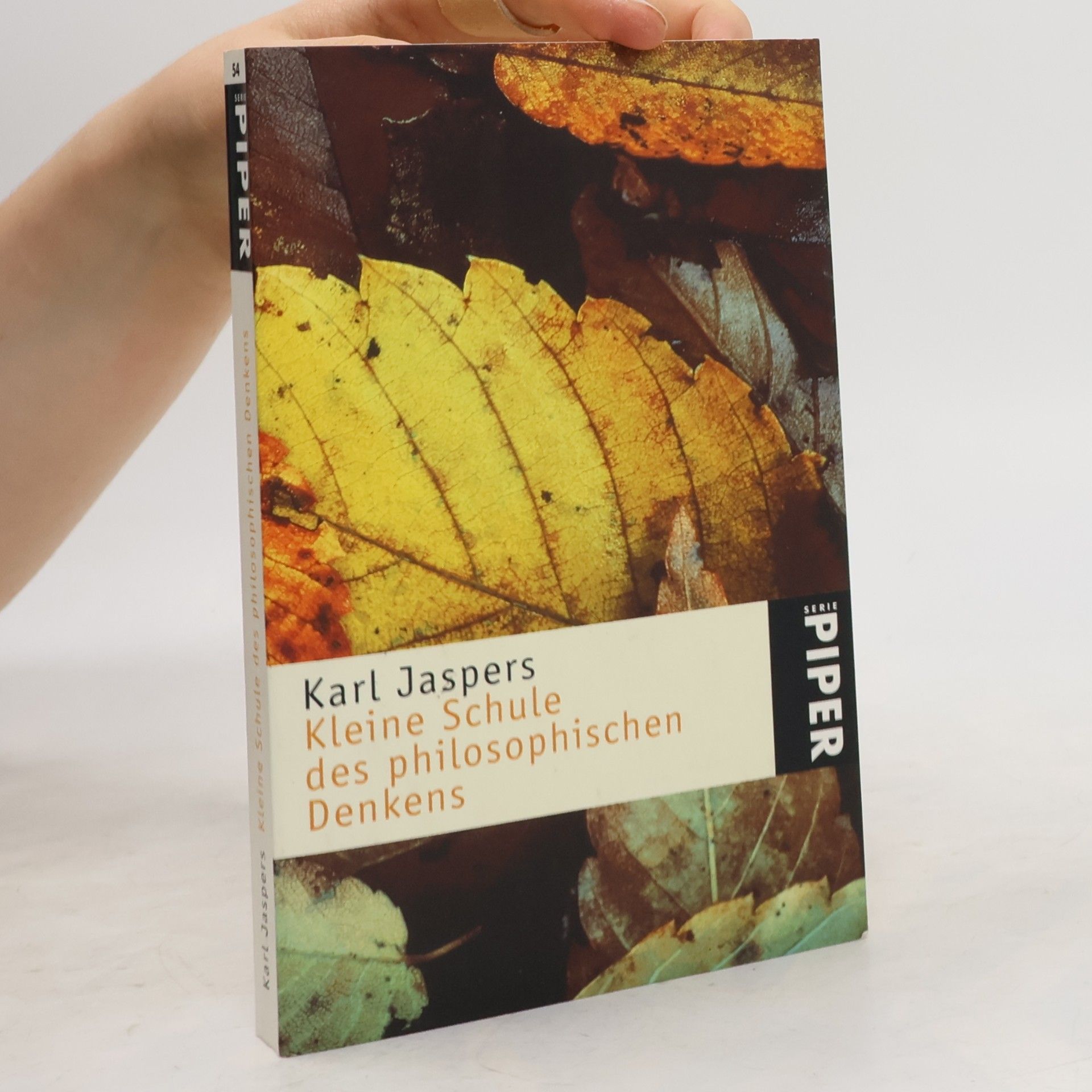 Karl Jaspers Kleine Schule des philosophischen Denkens