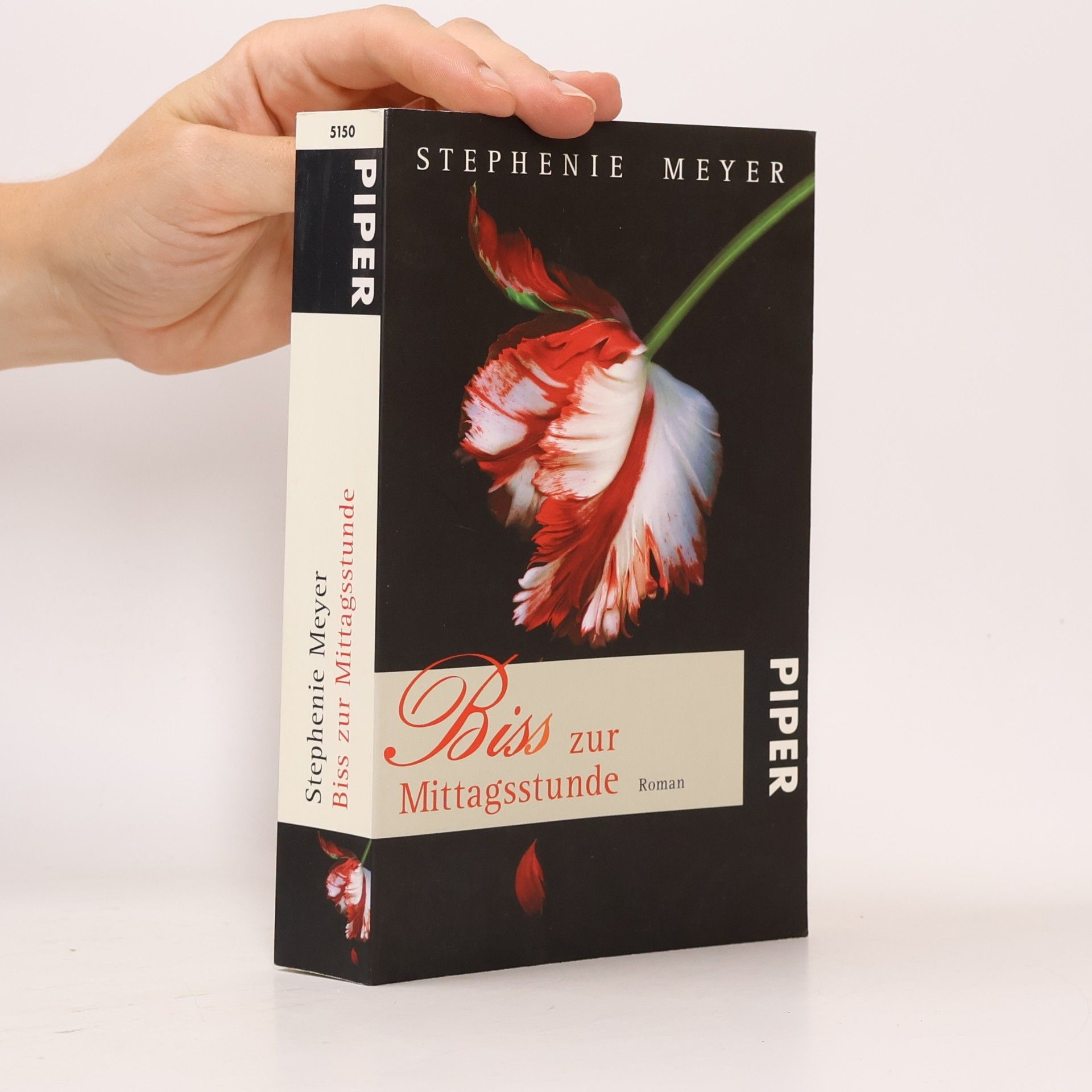 Stephenie Meyer Biss zur Mittagsstunde