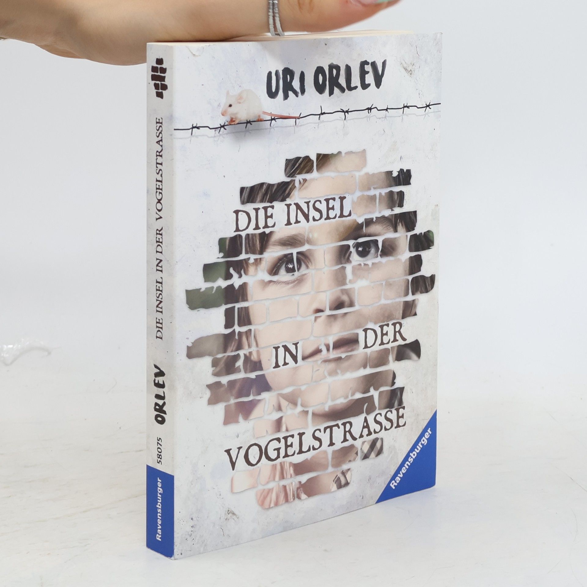 Uri Orlev Die Insel in der Vogelstraße