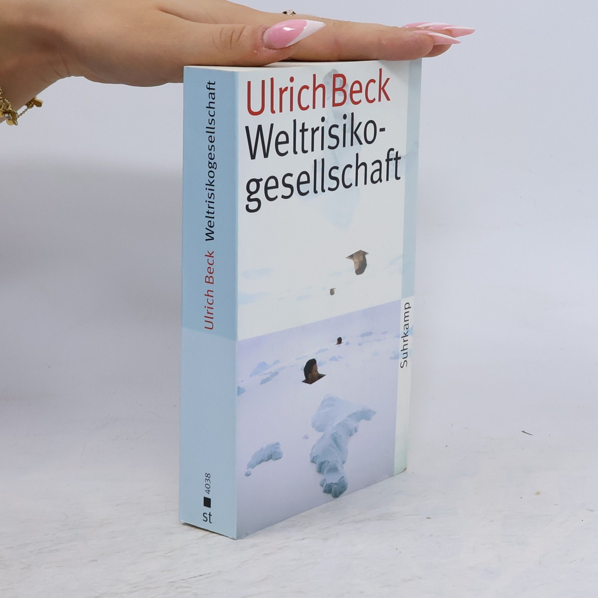 Ulrich Beck Weltrisikogesellschaft