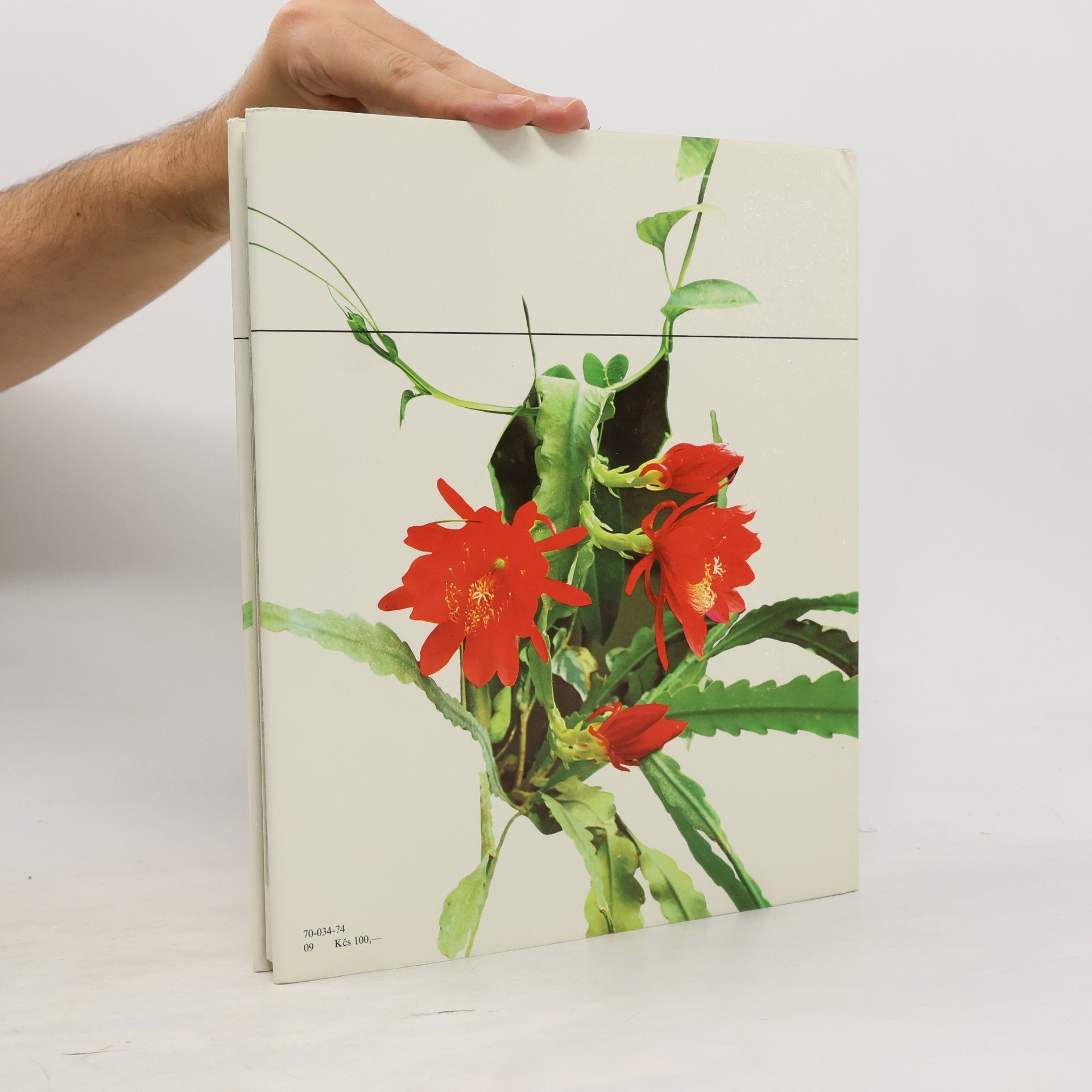 Rudolf Smahel Flora Olomouc