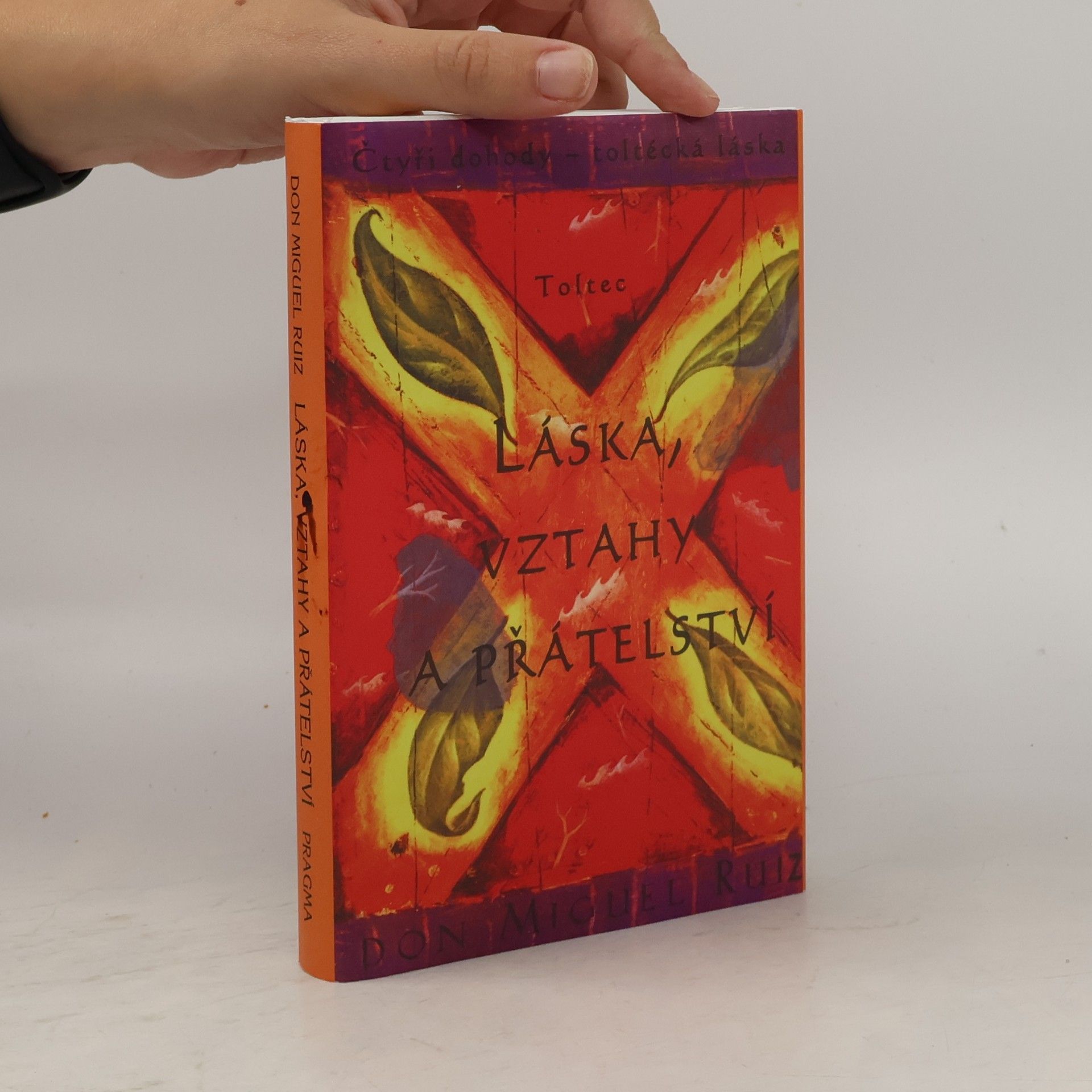 Don Miguel Ruiz Láska, vztahy a přátelství