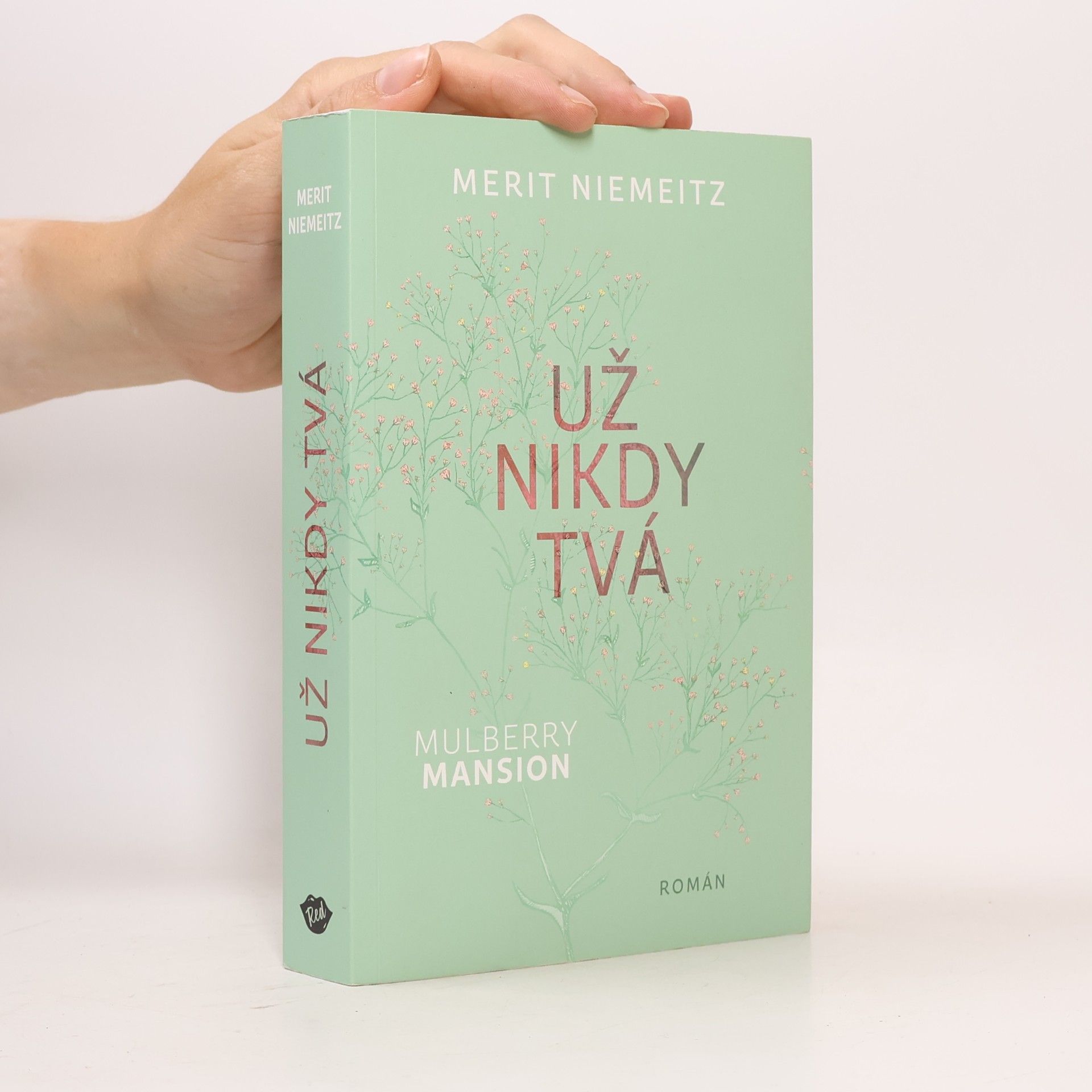 Merit Niemeitz Už nikdy tvá