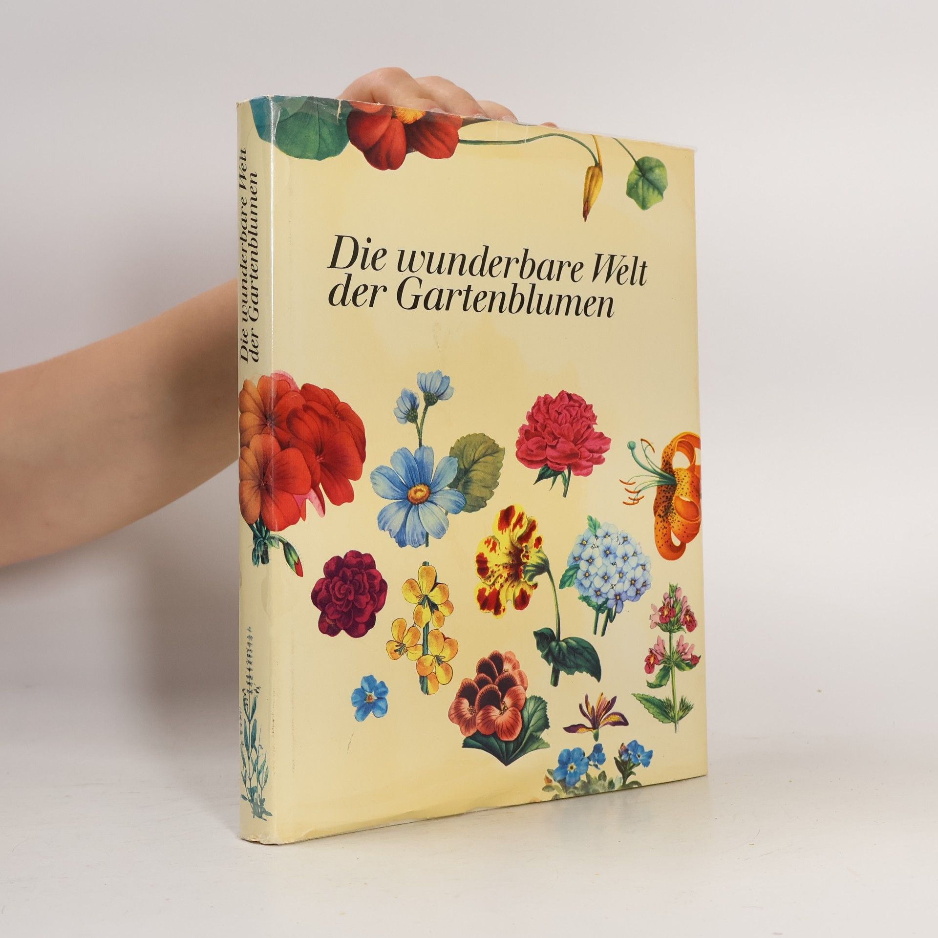 Autorenkollektiv Die wunderbare Welt der Gartenblumen