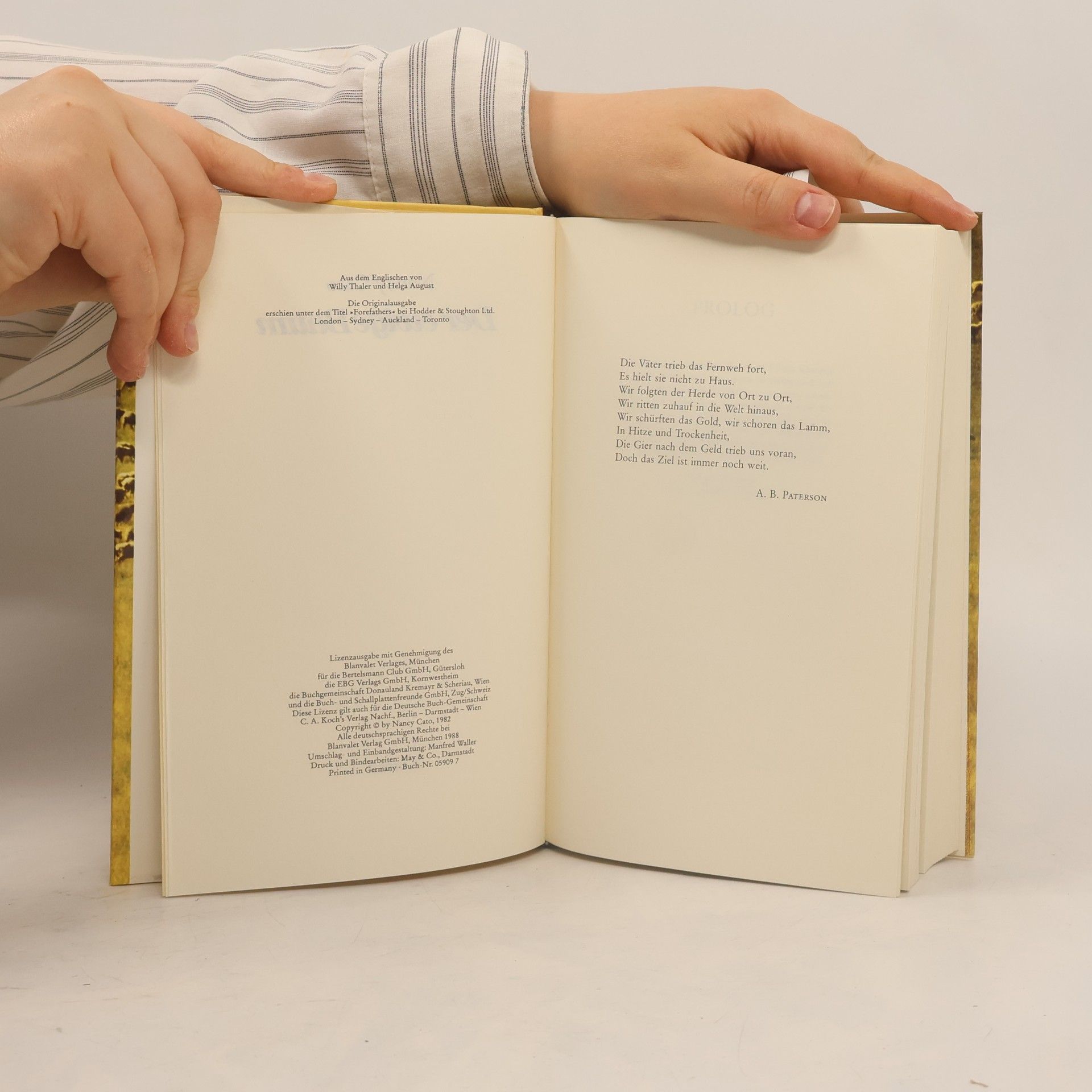 Nancy Cato Der ewige Baum