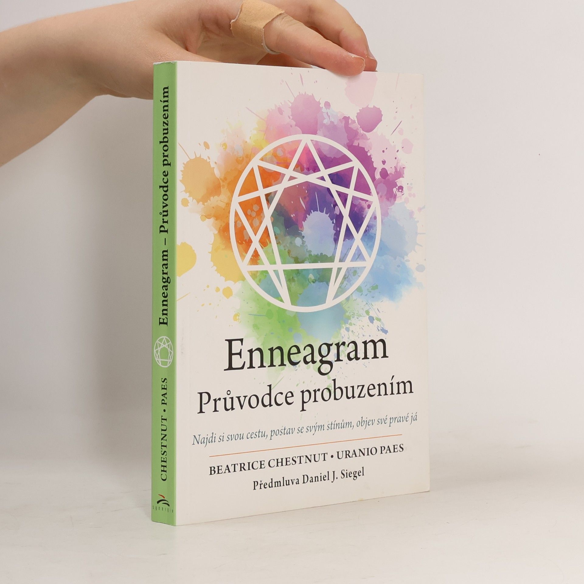 Beatrice Chestnut Enneagram : průvodce probuzením : najdi si svou cestu, postav se svým stínům, objev své pravé já