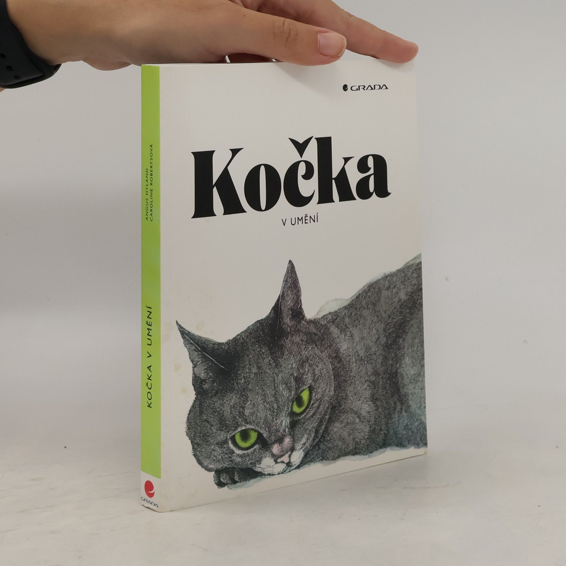 Angus Hyland Kočka v umění
