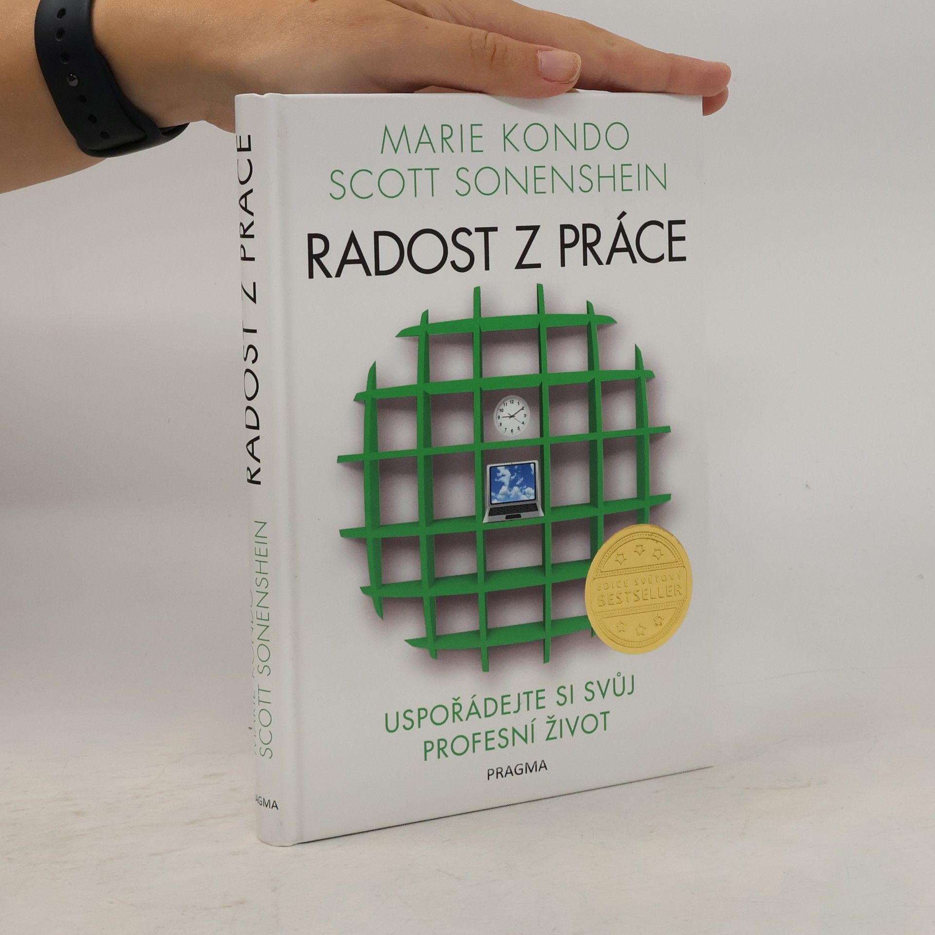 Radost z práce