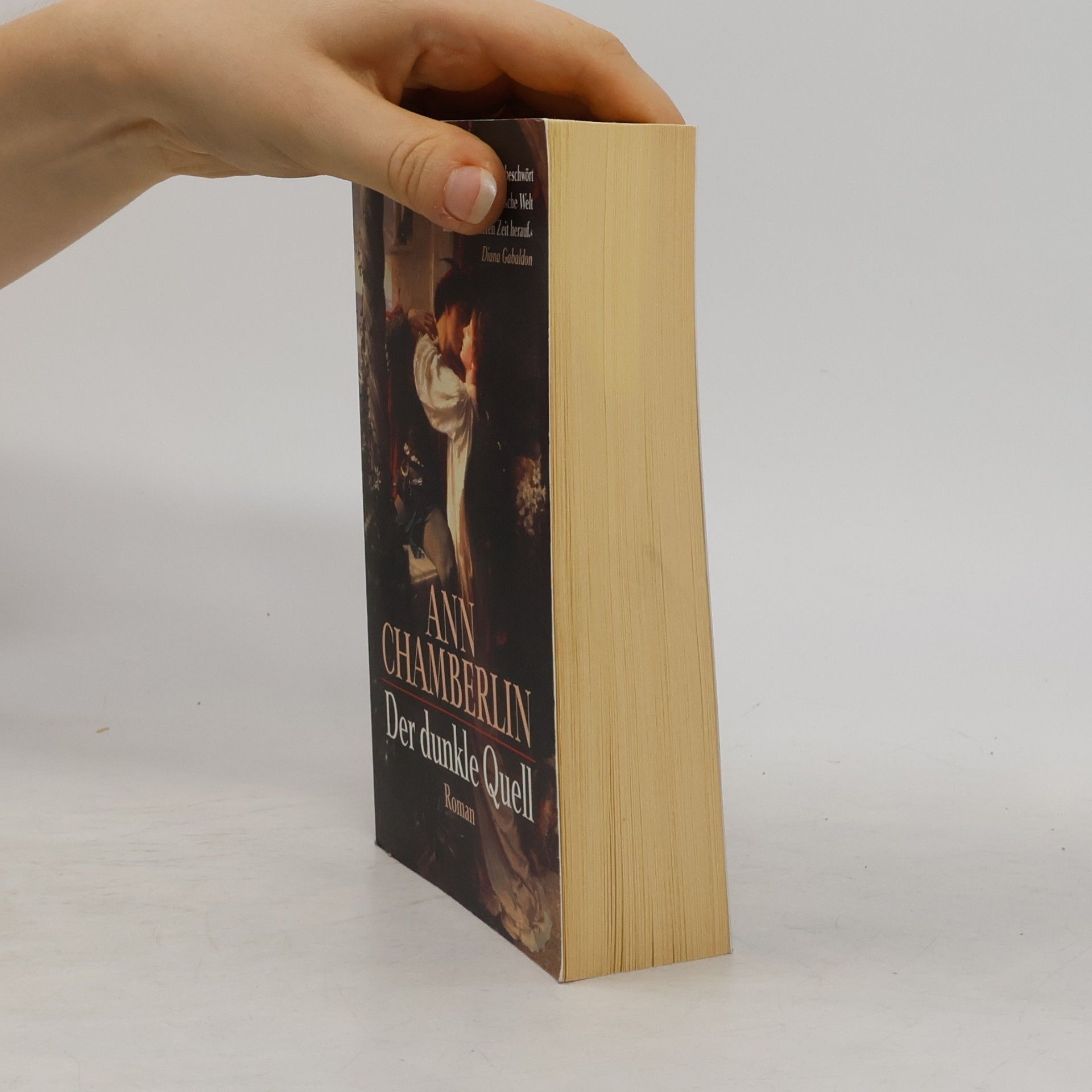 Ann Chamberlin Der dunkle Quell