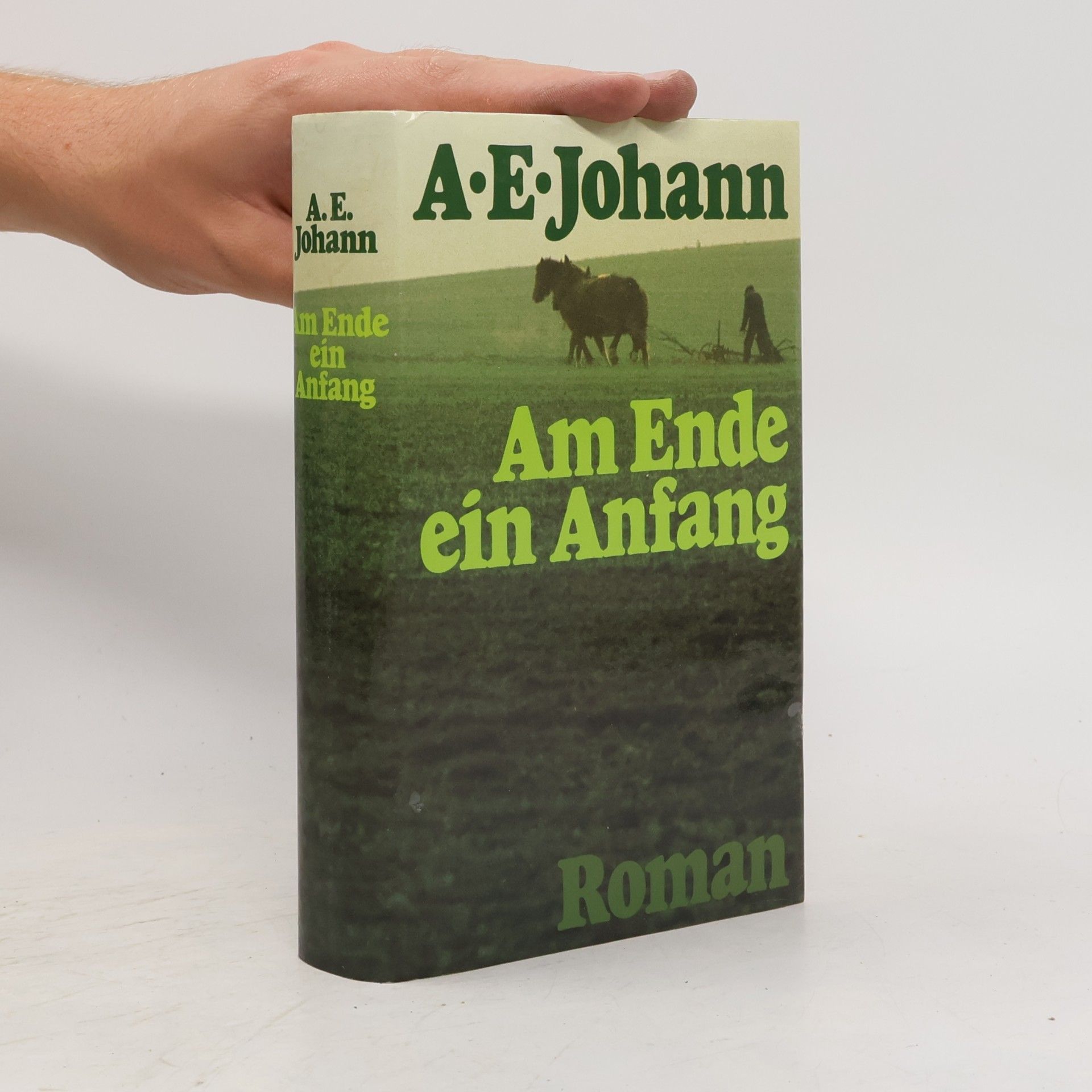 Alfred E. Johann Am Ende ein Anfang