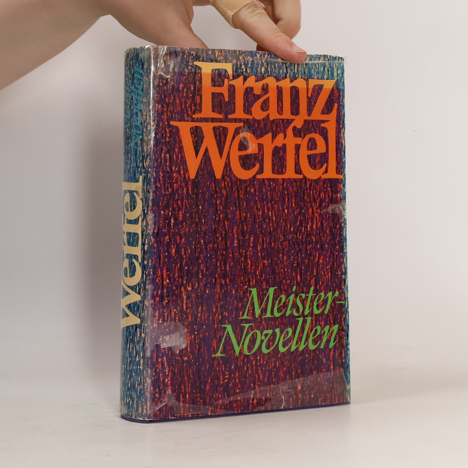 Franz Werfel Meister Novellen