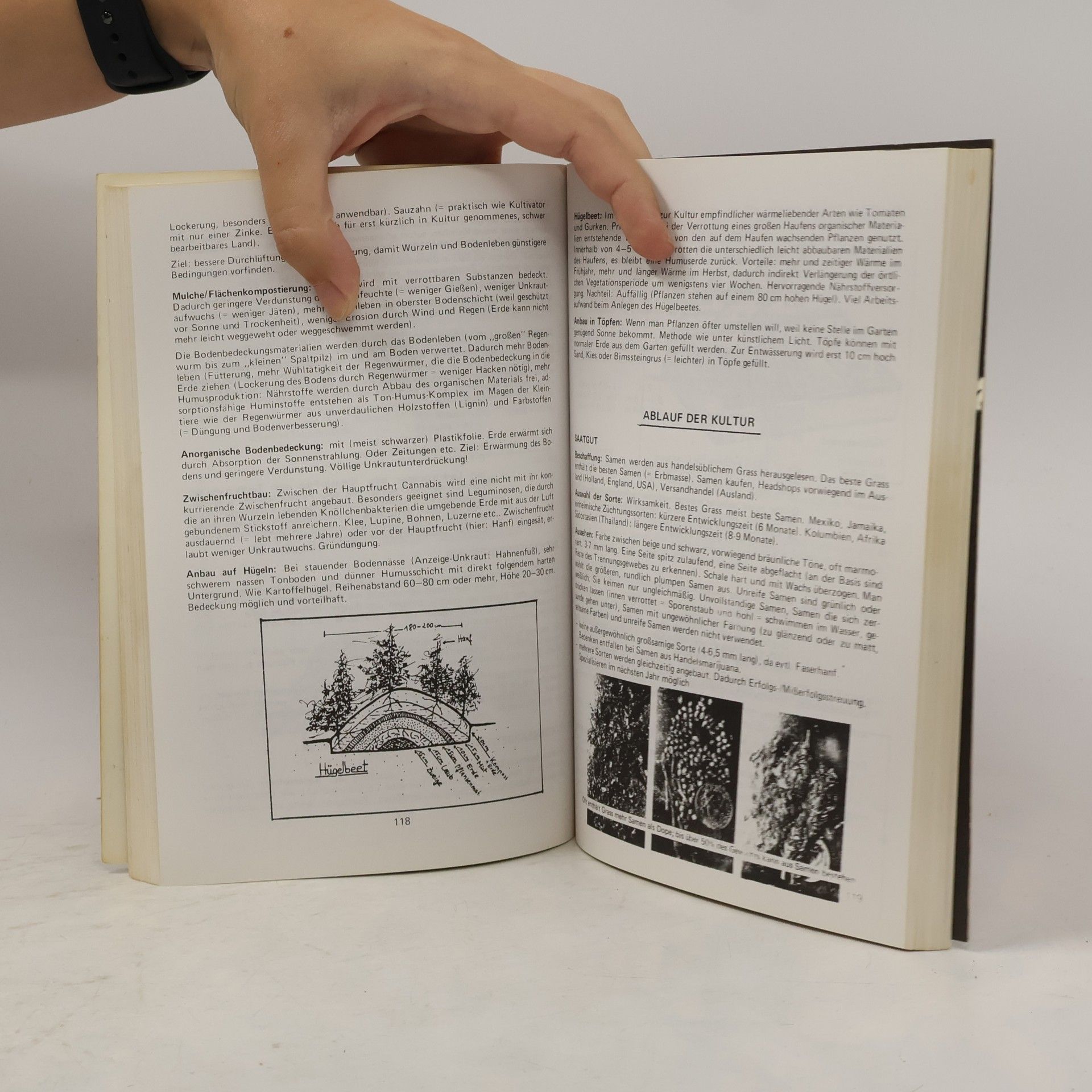 Hainer Hai Das definitive deutsche Hanf-Handbuch
