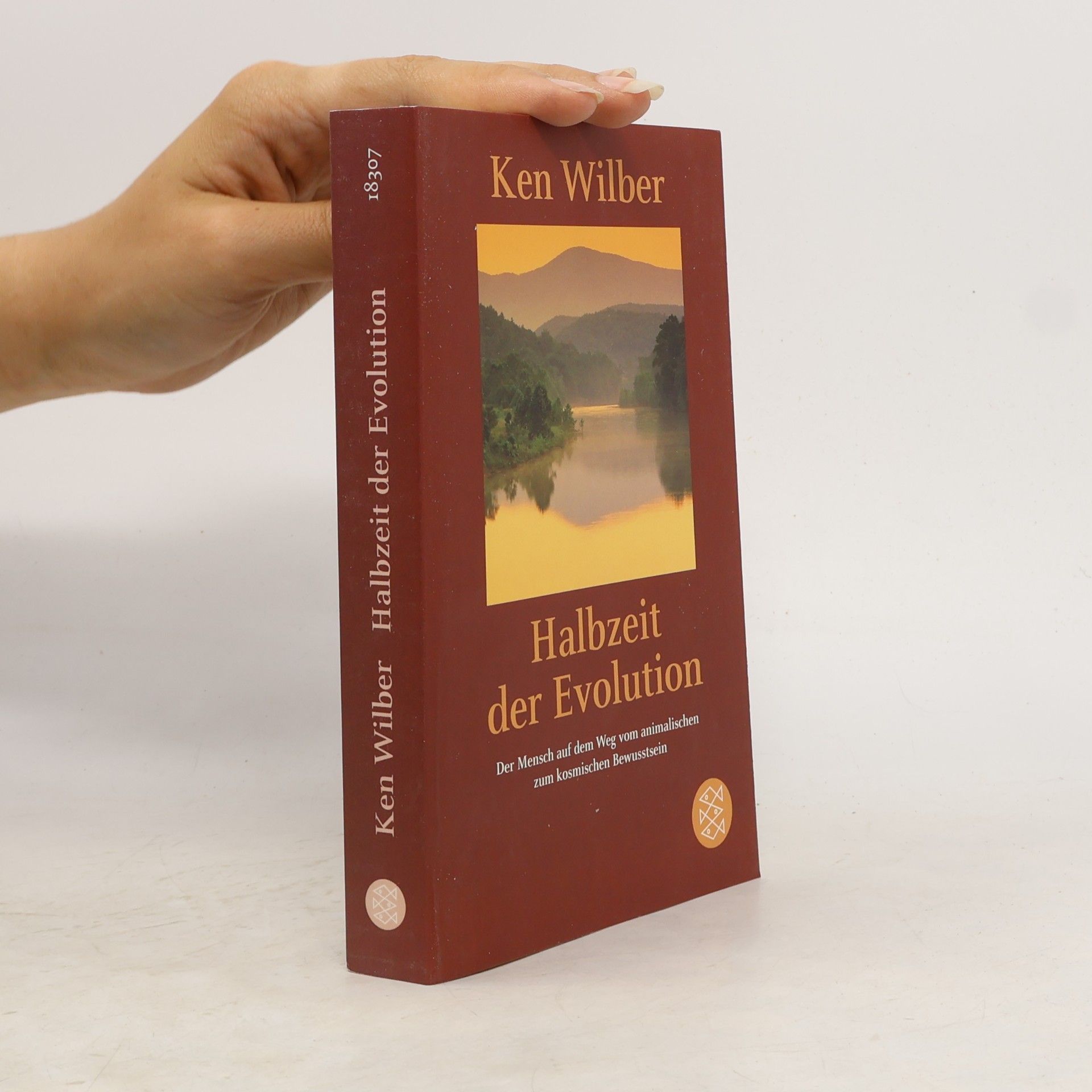 Ken Wilber Halbzeit der Evolution