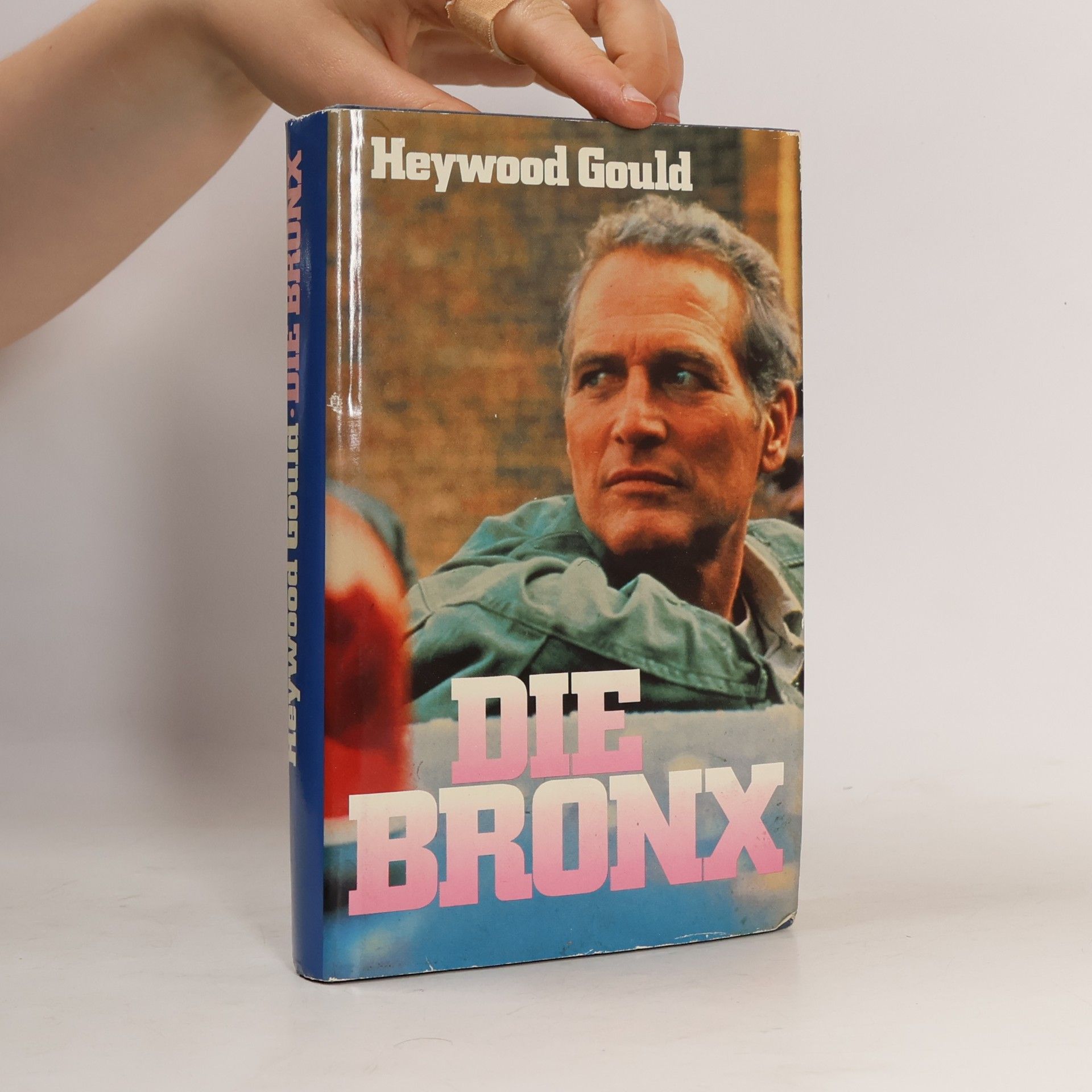 Heywood Gould Die Bronx