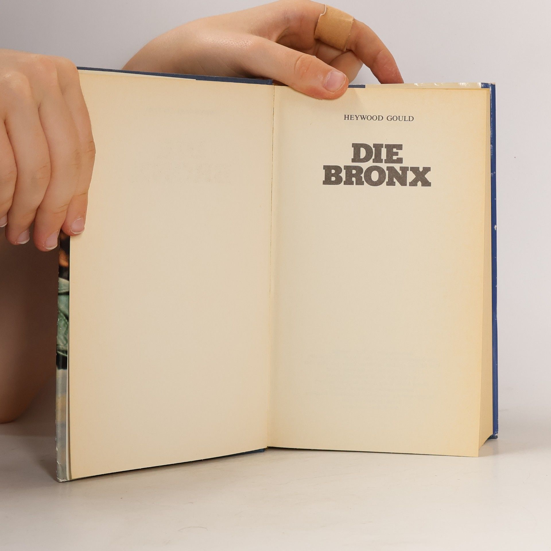 Heywood Gould Die Bronx