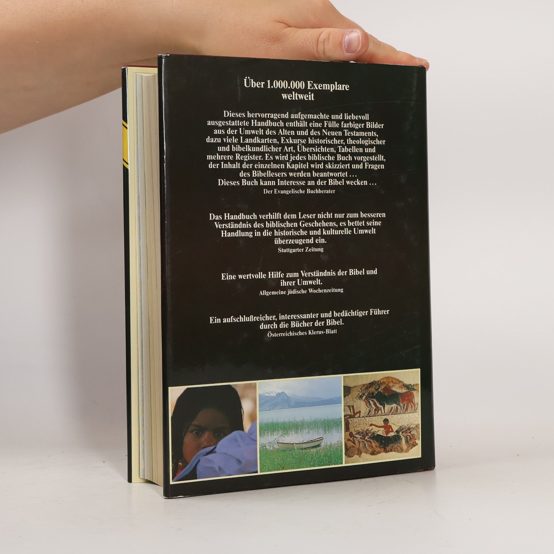 Pat Alexander Handbuch zur Bibel