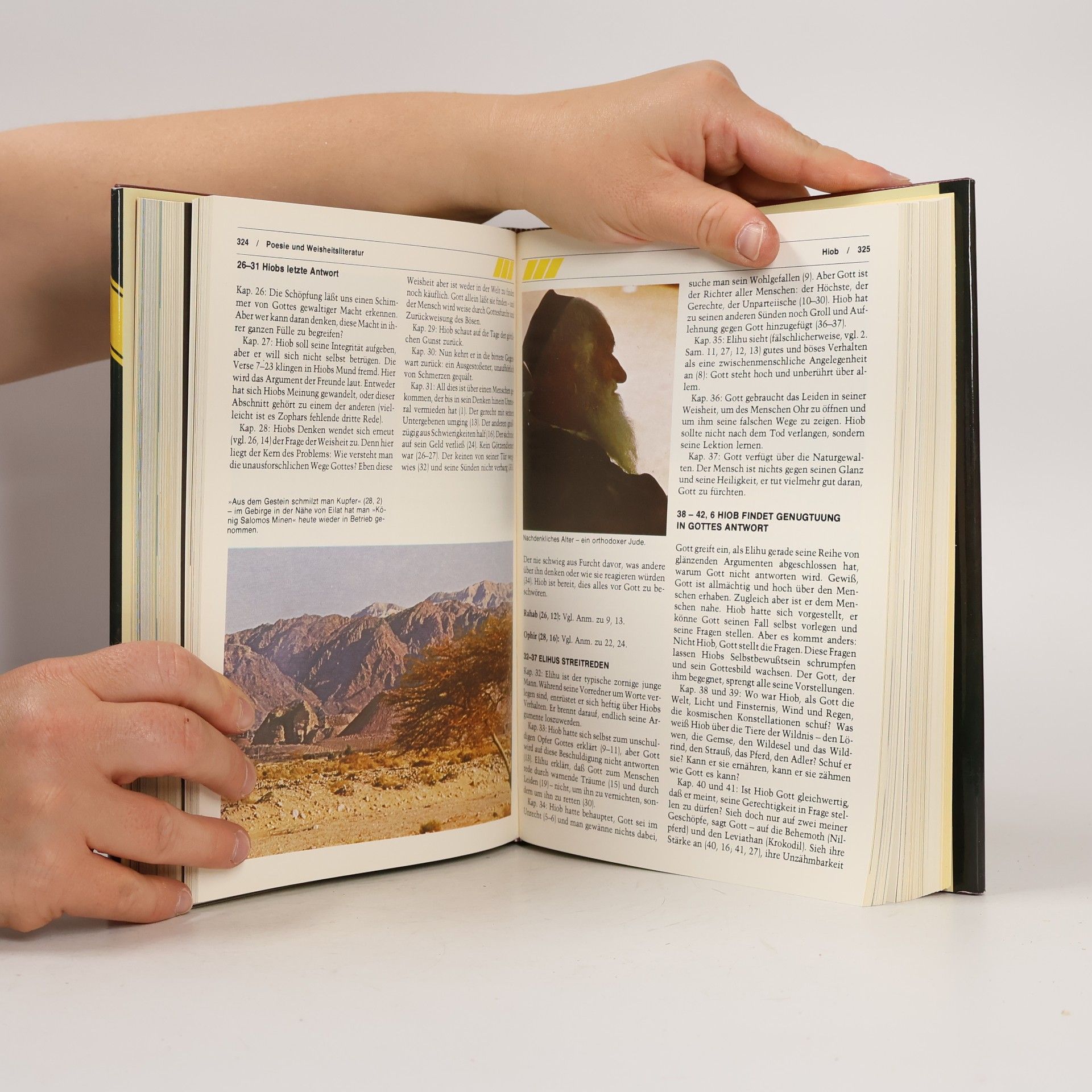 Pat Alexander Handbuch zur Bibel